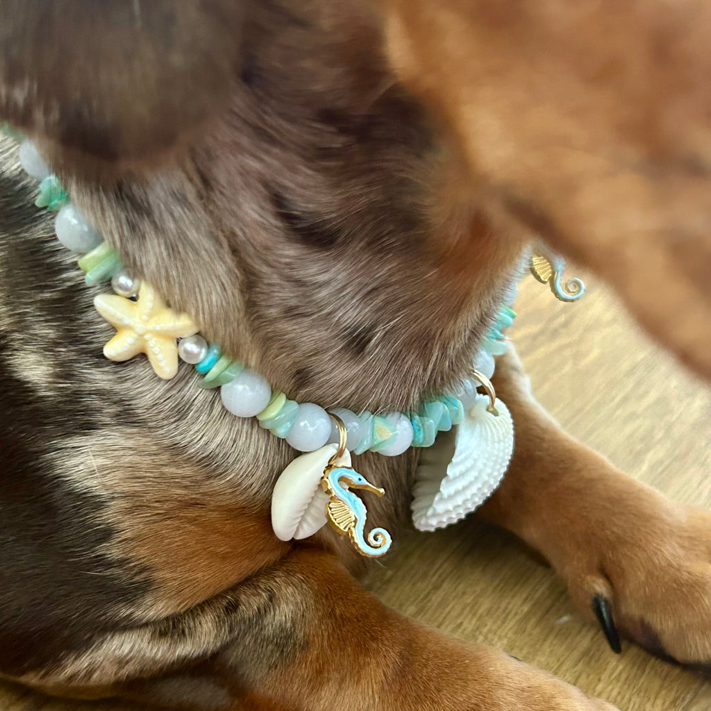 Collier Bloom 🐠