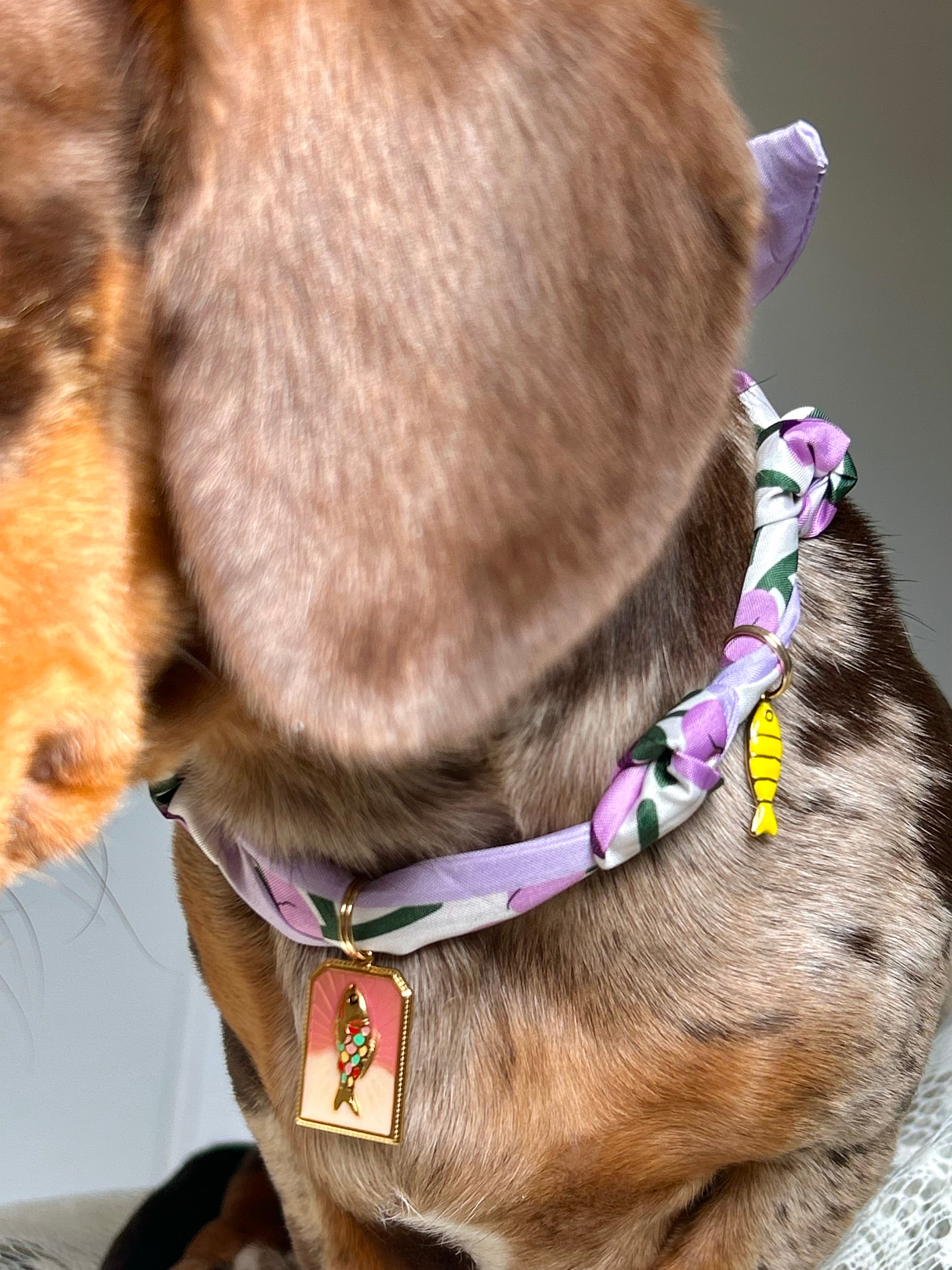 Calypso - Collier foulard