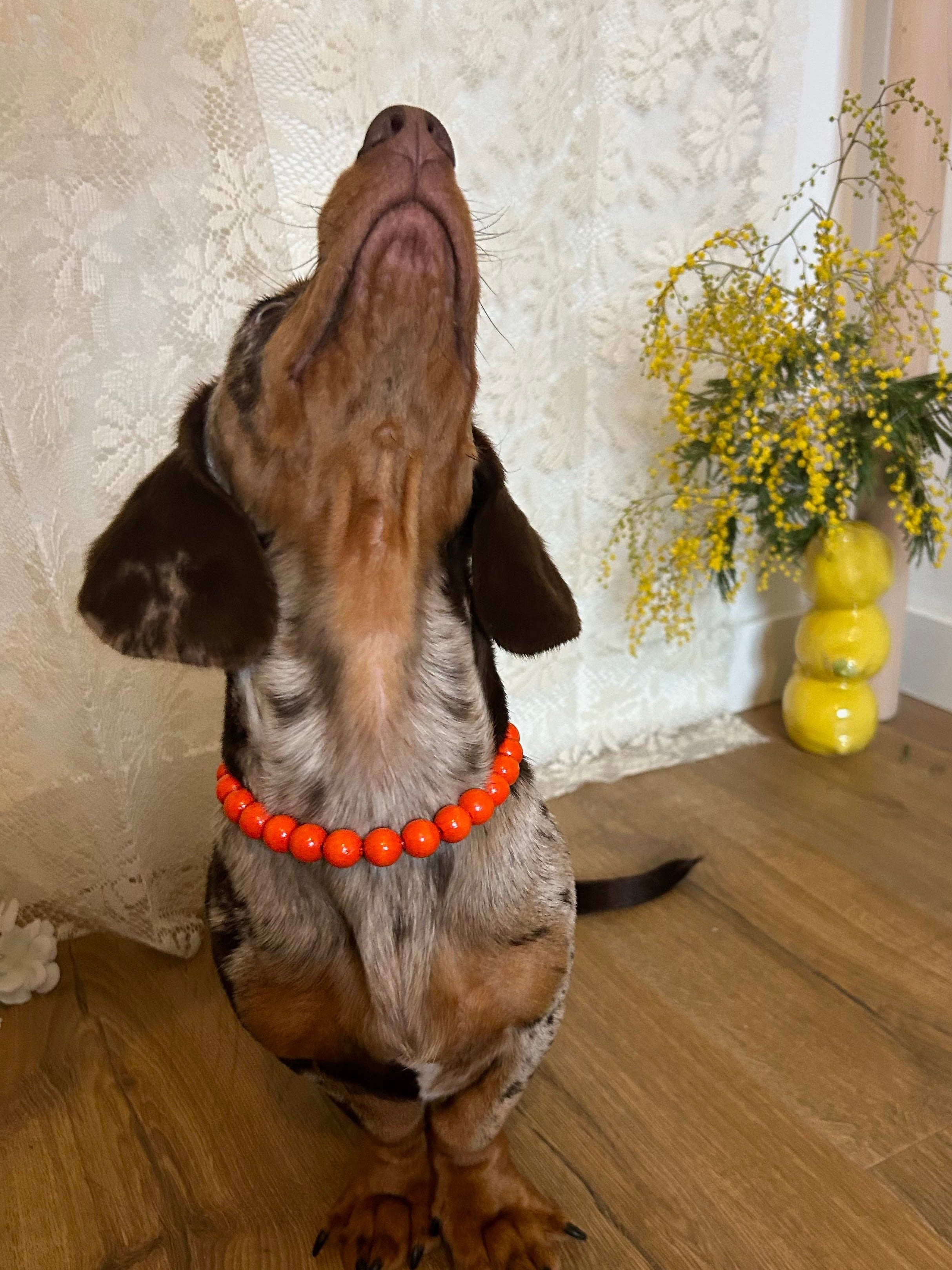 Tropic Pop  – Collier en perles