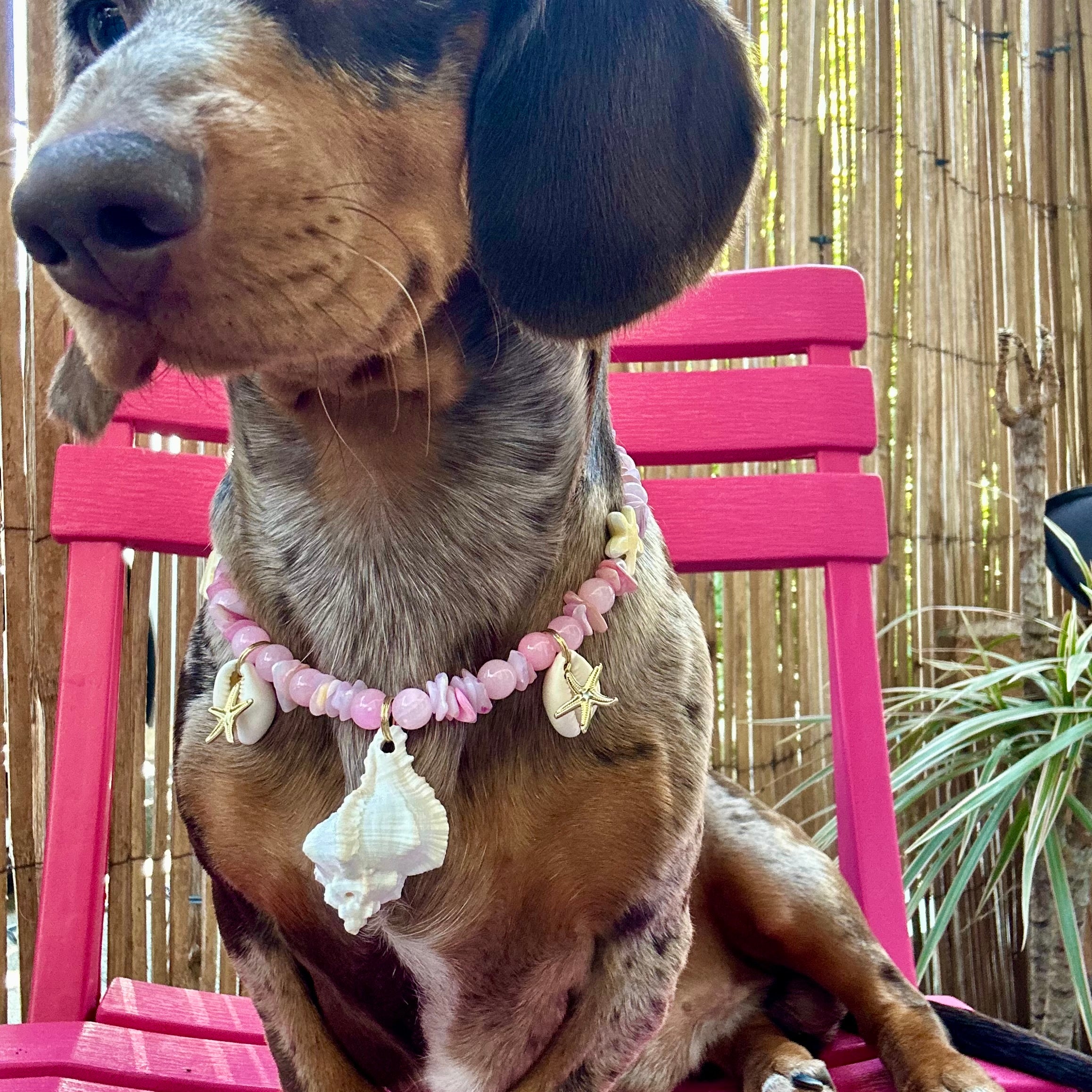 Collier Alma 🌸