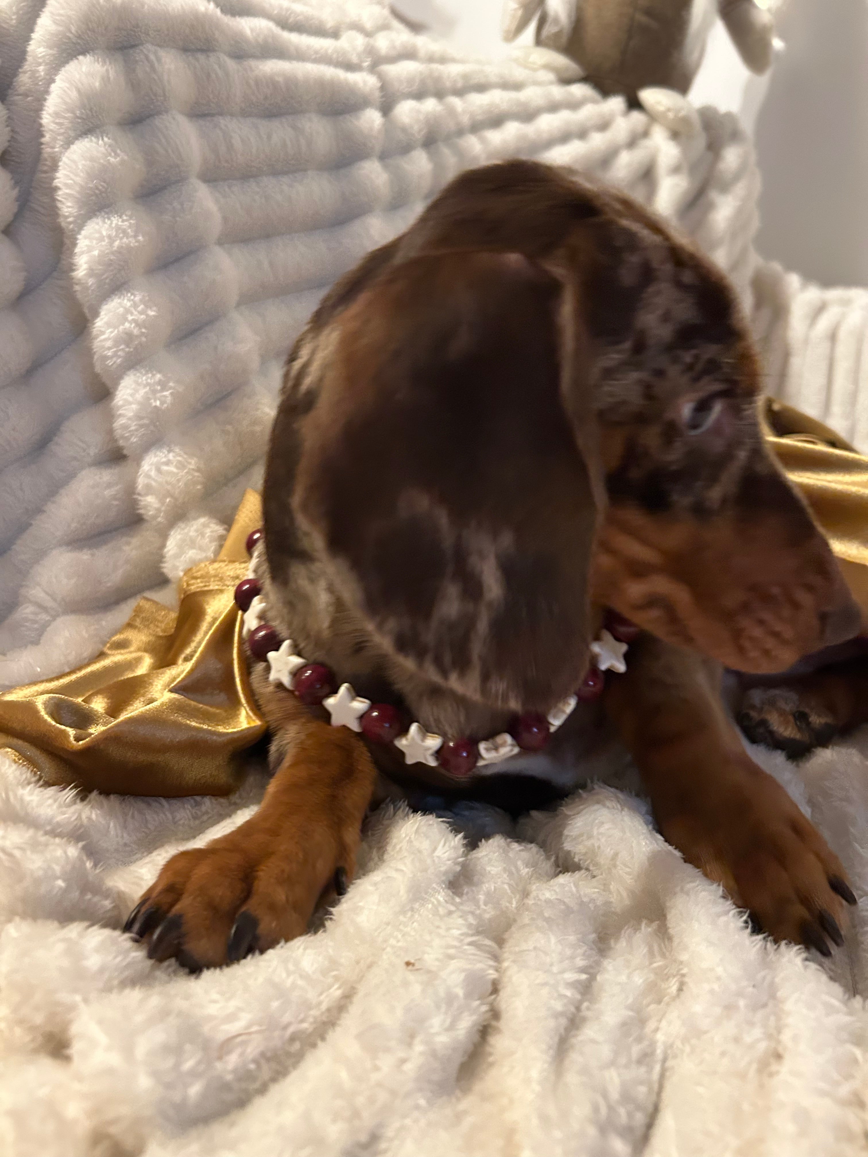 COLLECTION HIVERNALE- Collier Choco Chaud