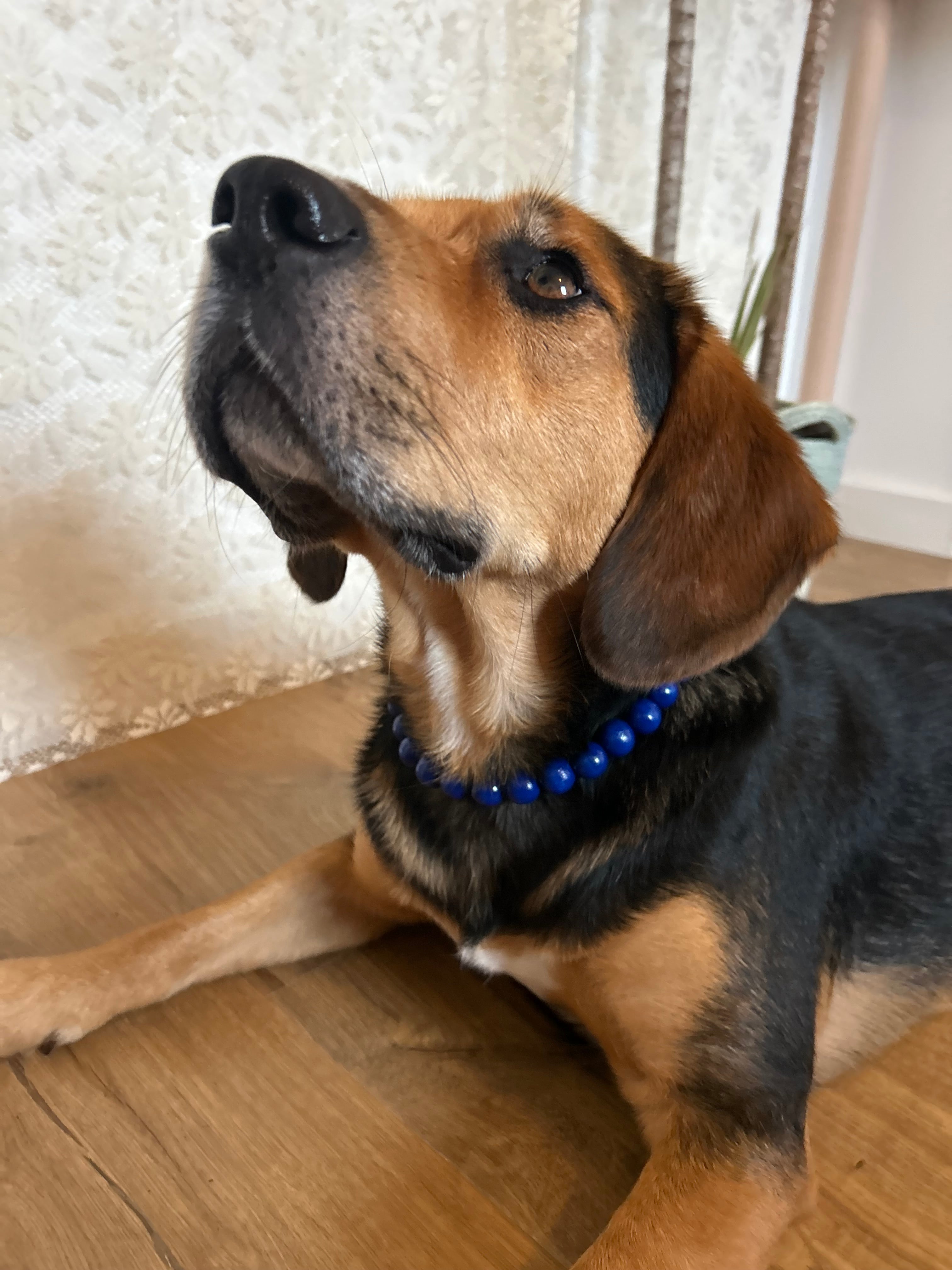 Night Pop - Collier en perles