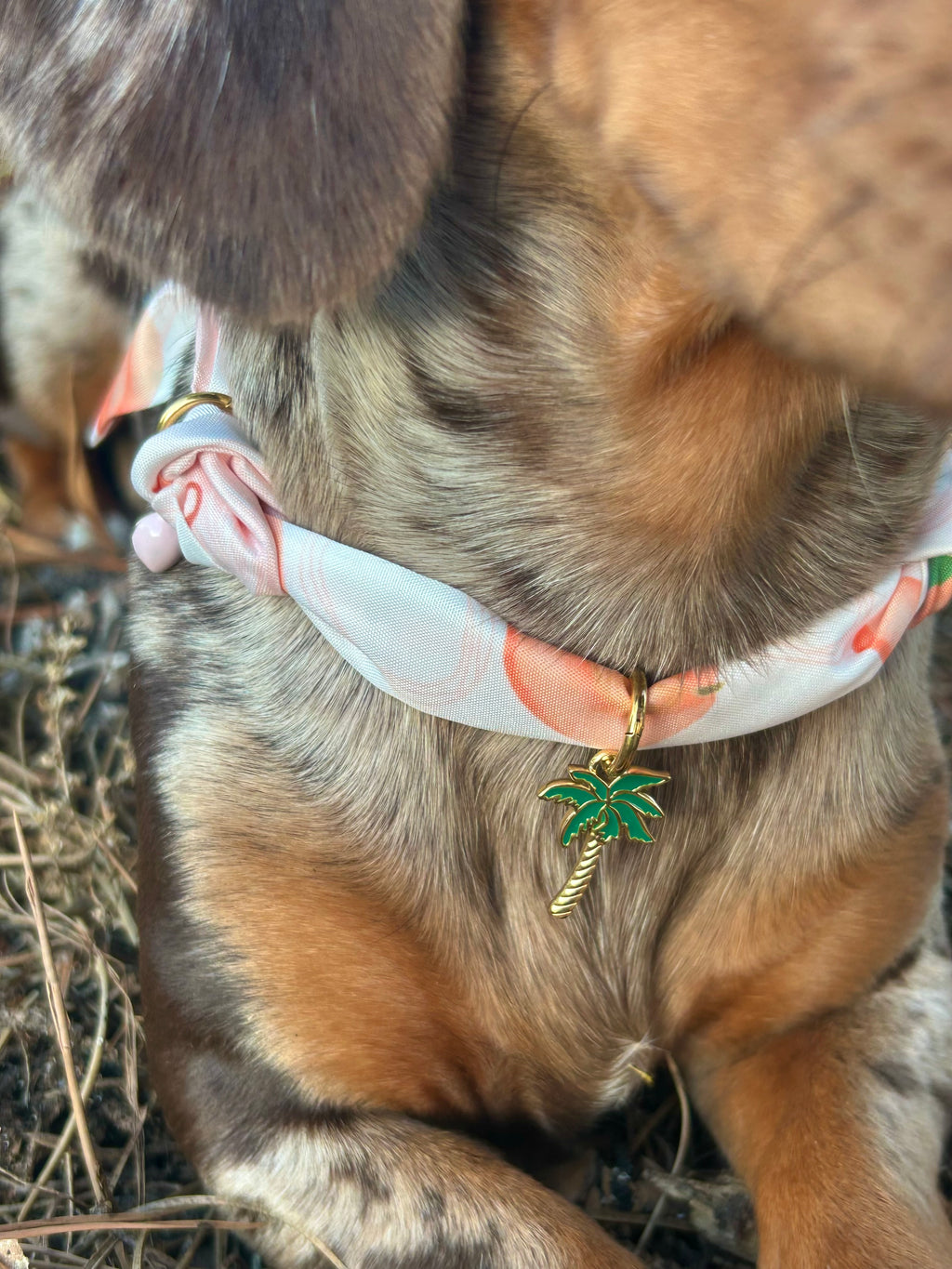 Collier foulard Belinni 🍑