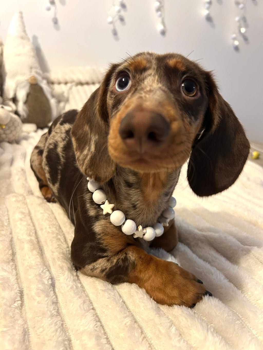 COLLECTION HIVERNALE- COLLIER ÉTOILE POLAIRE