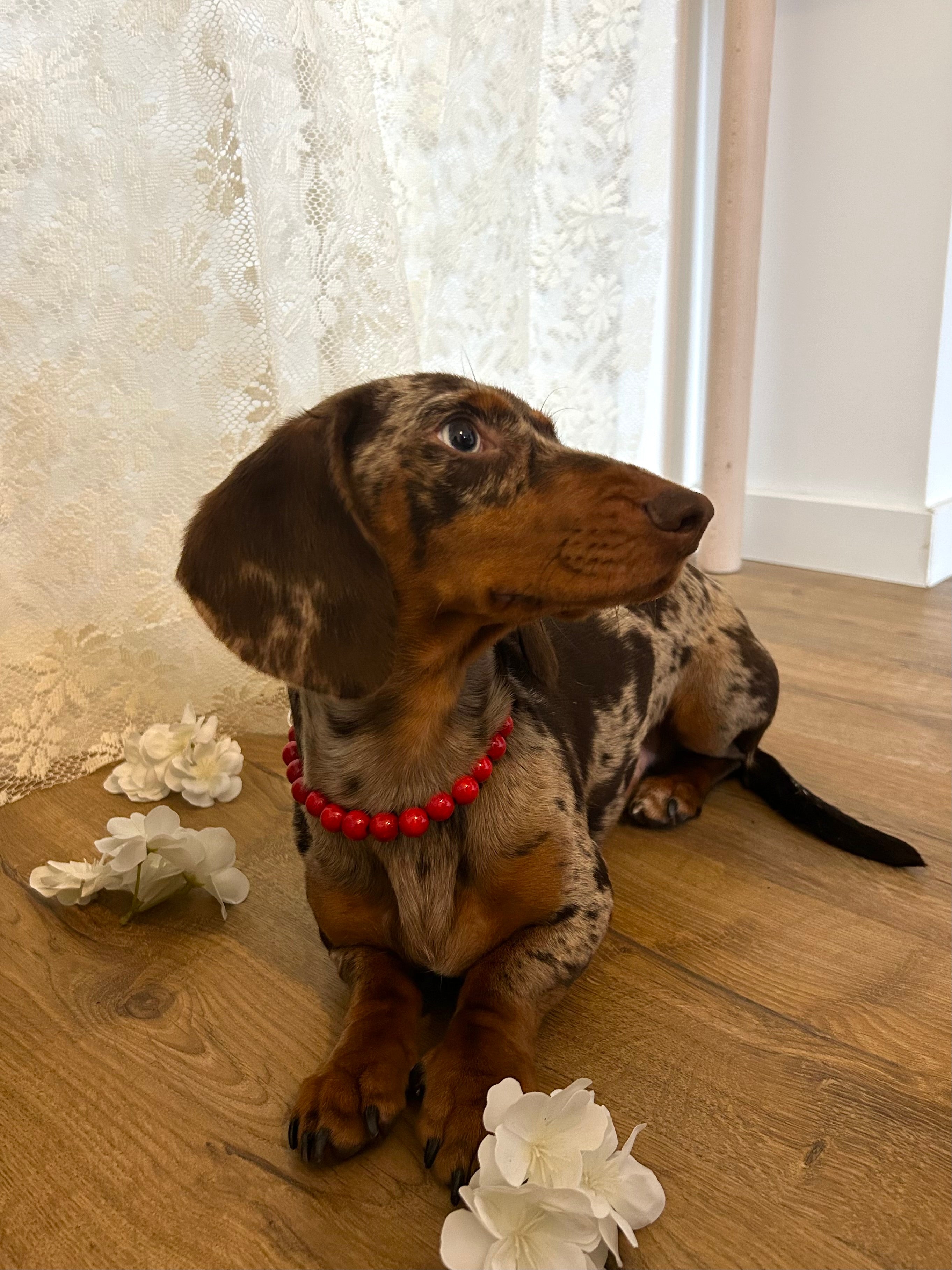 Love Pop - Collier en perles