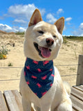Bandana Crabby 🦀