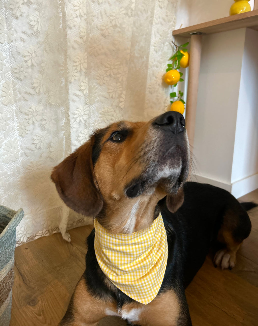 Suny - Bandana fait main & sur mesure