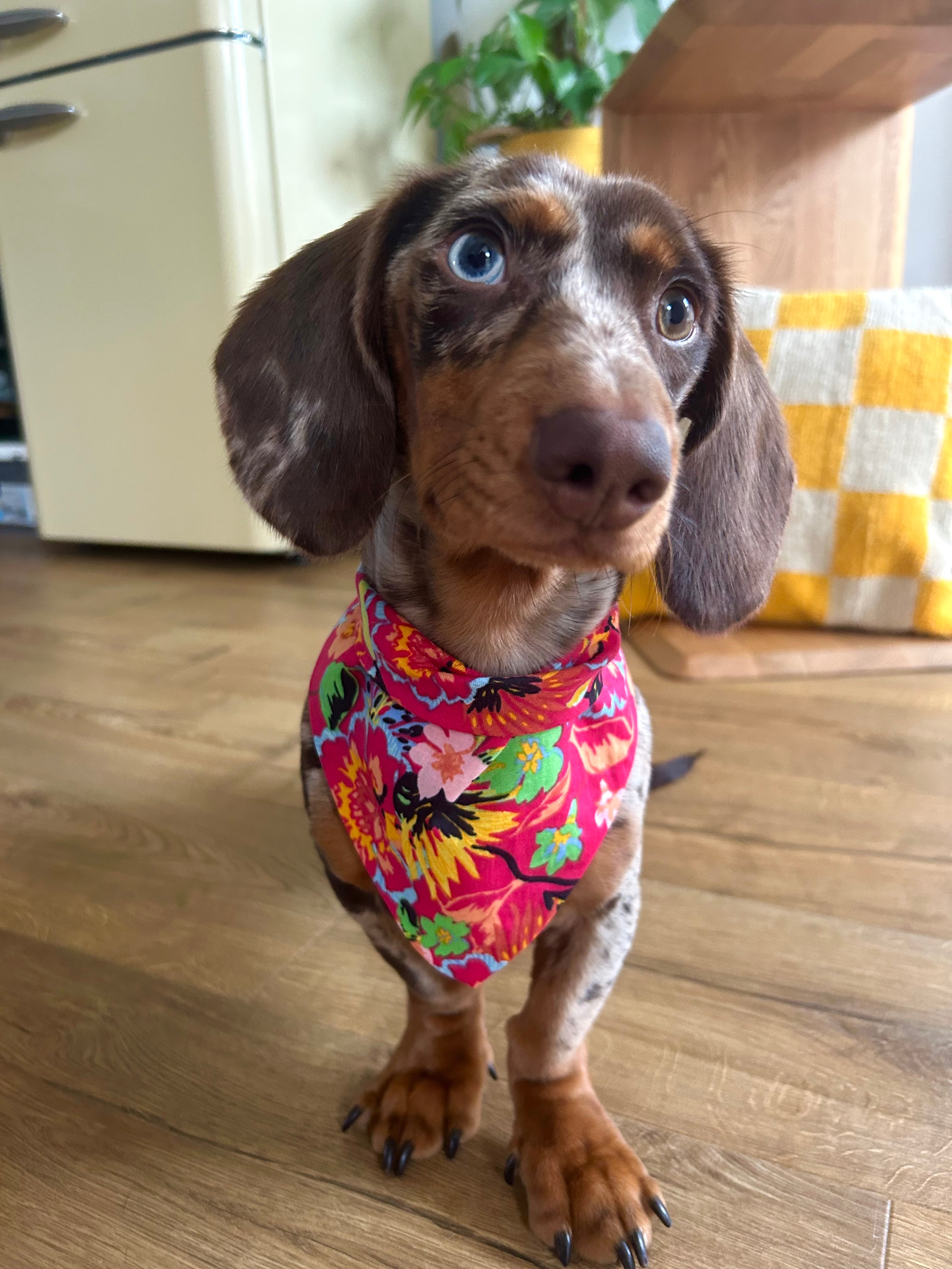 Bloomshine – Bandana fait main & sur mesure