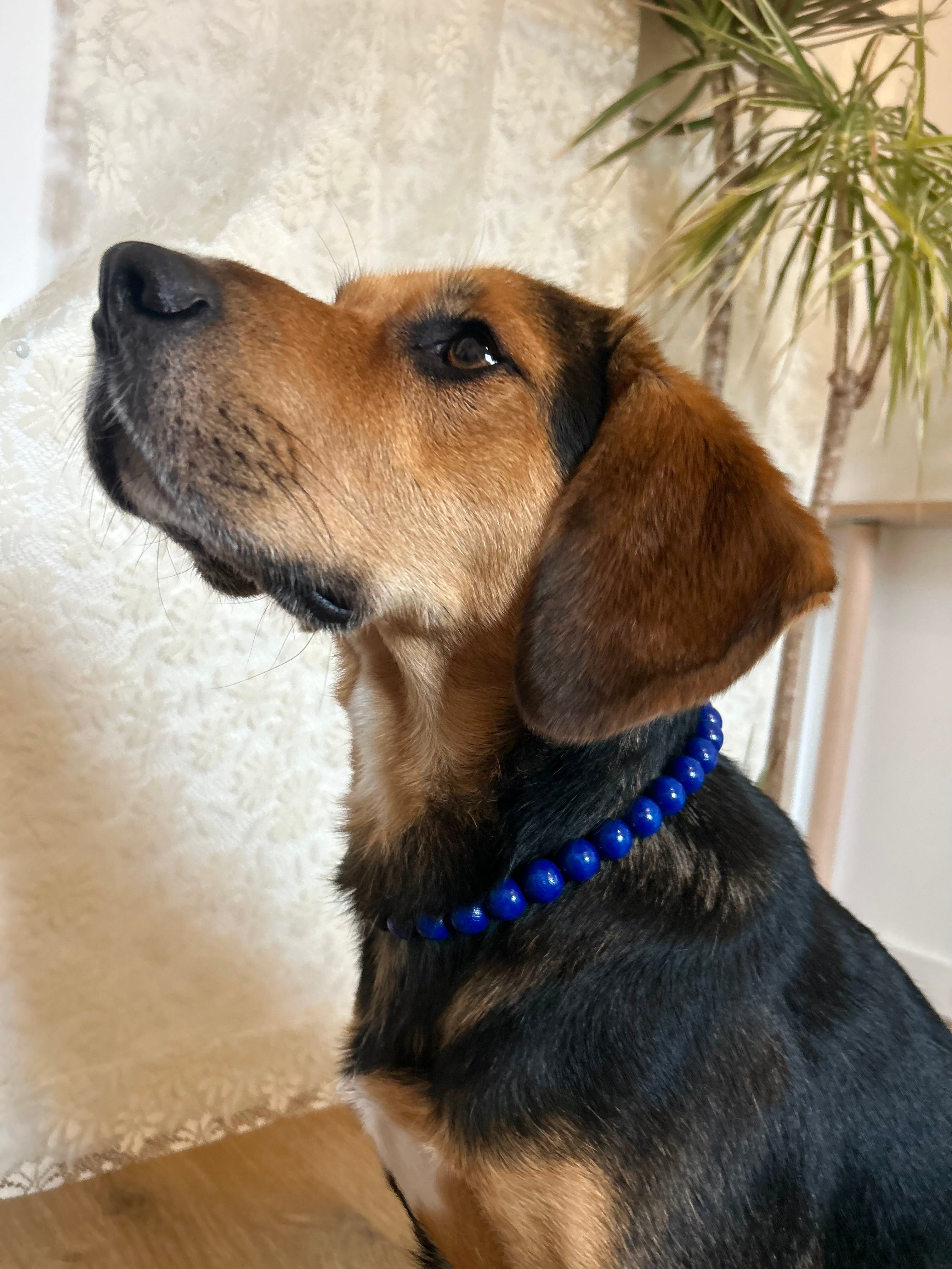 Night Pop - Collier en perles