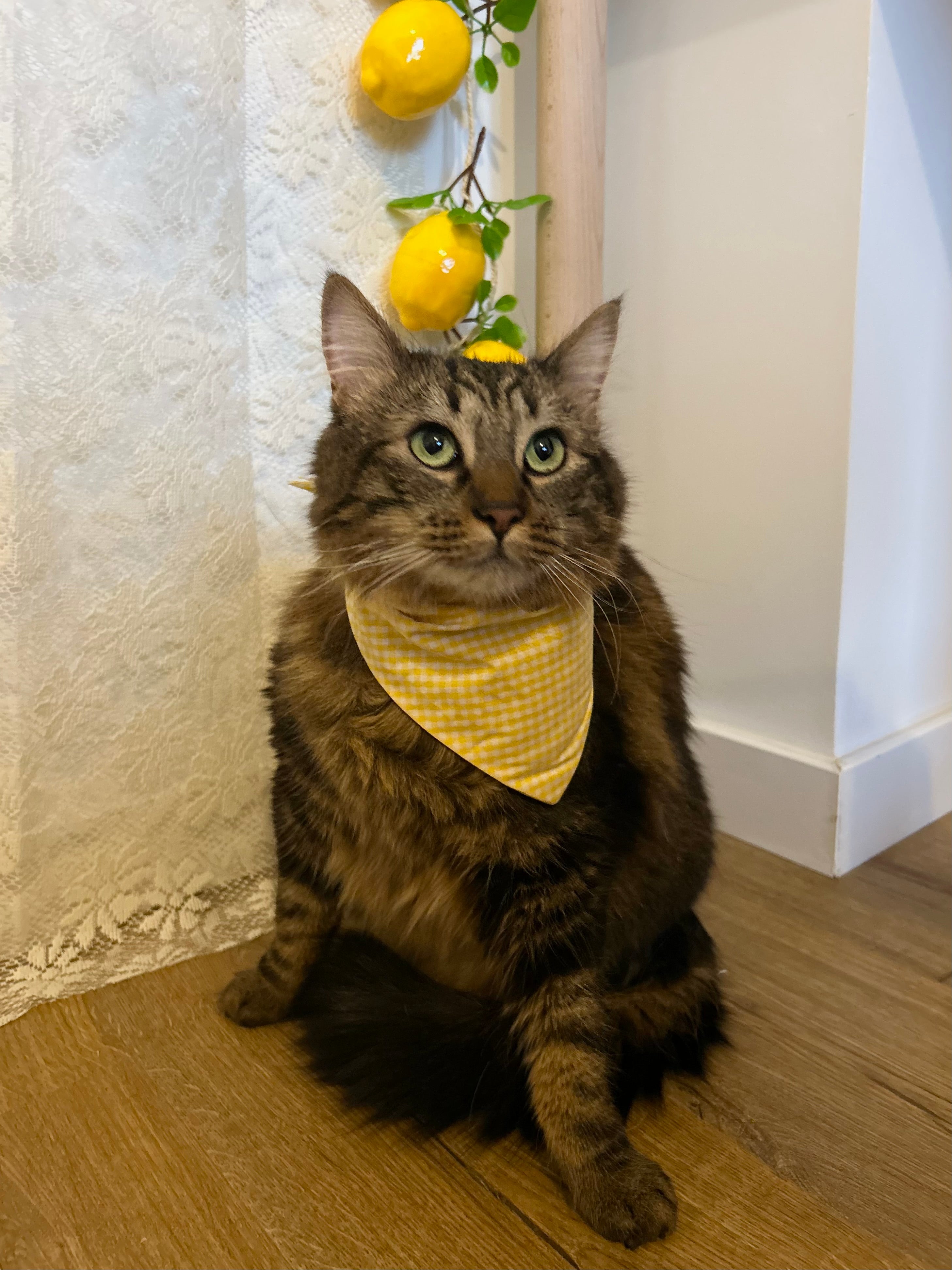 Suny - Bandana fait main & sur mesure