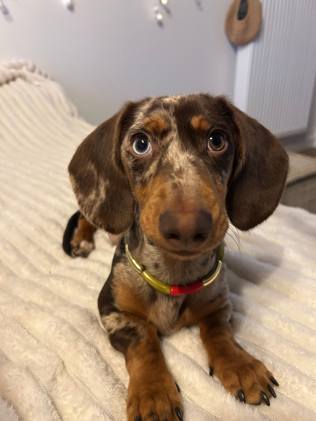 COLLECTION HIVERNALE- Collier Trio Festif