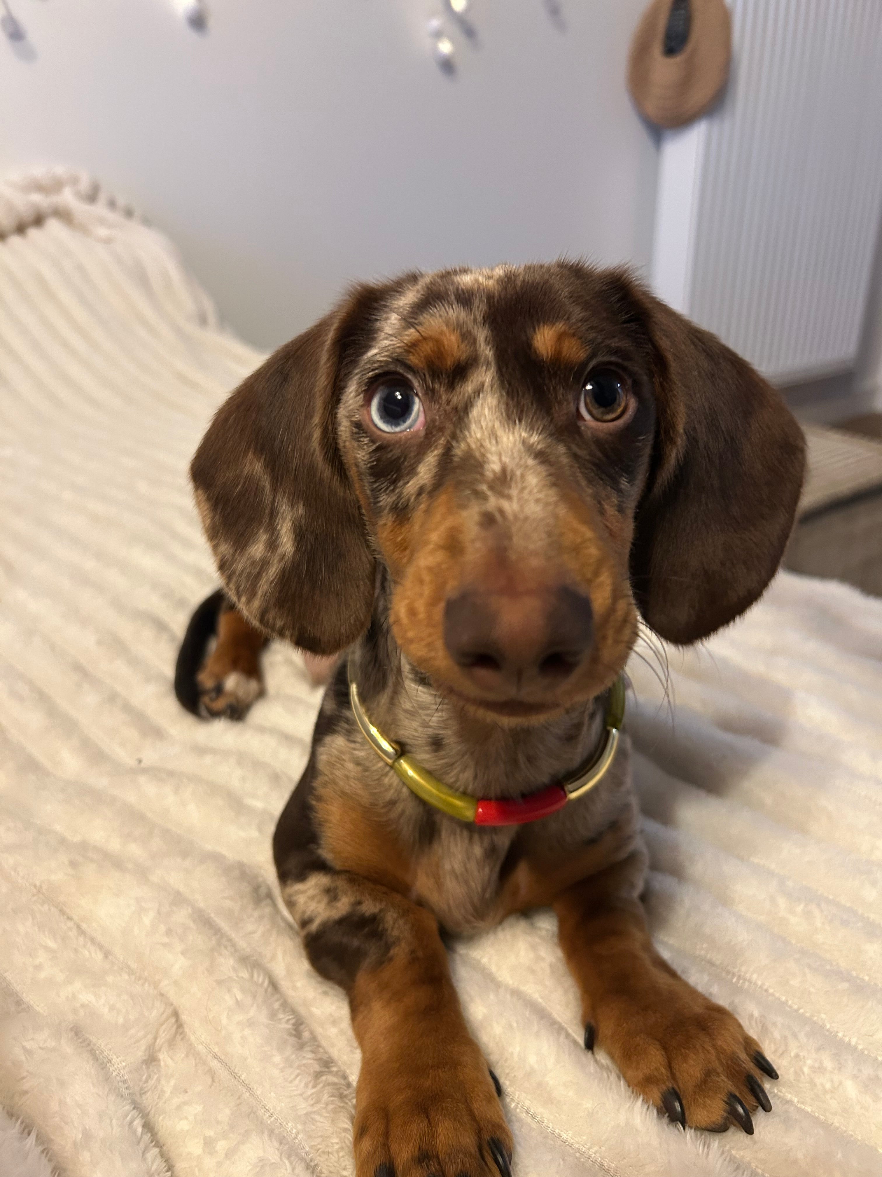 COLLECTION HIVERNALE- Collier Trio Festif