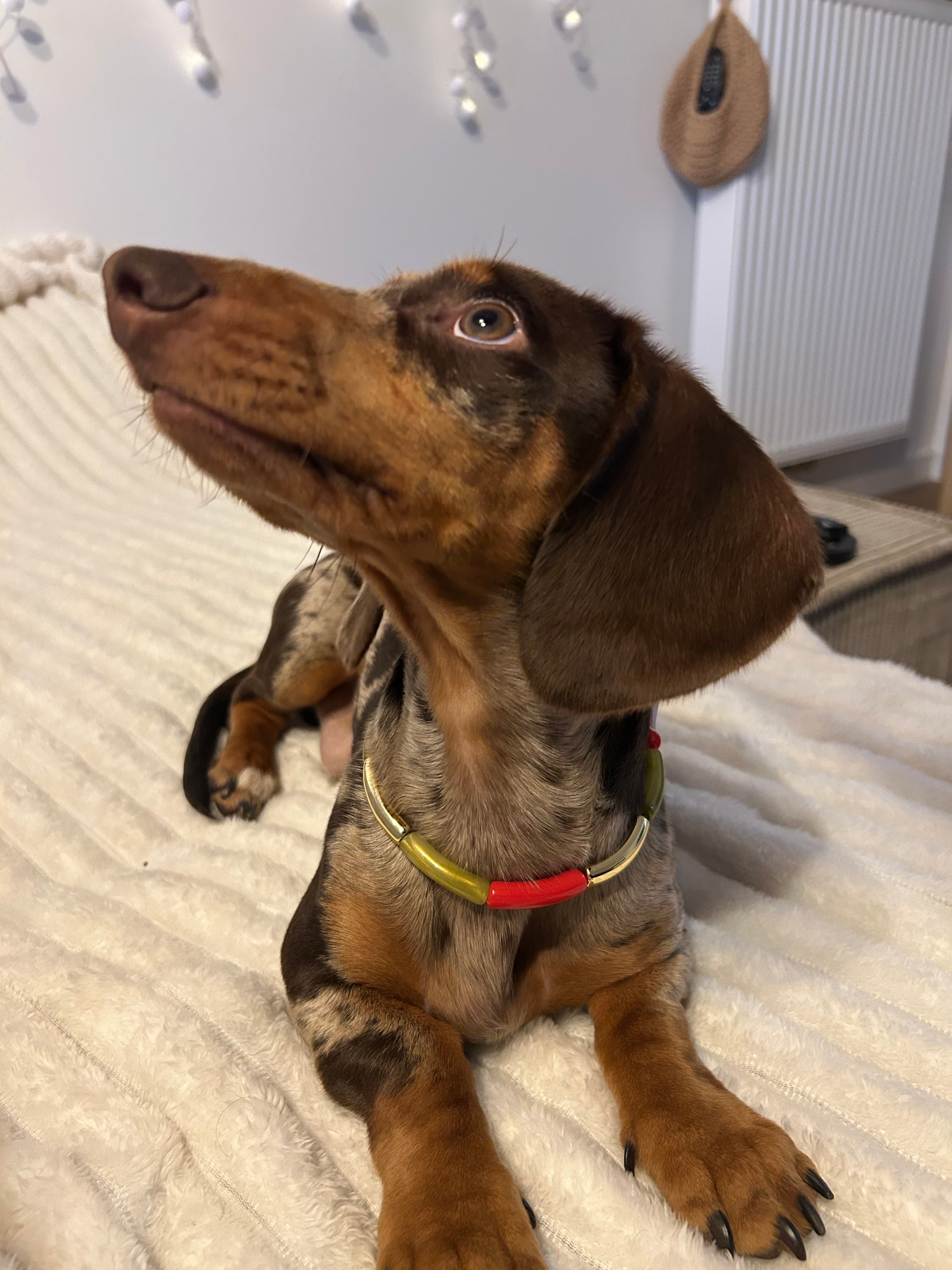 COLLECTION HIVERNALE- Collier Trio Festif