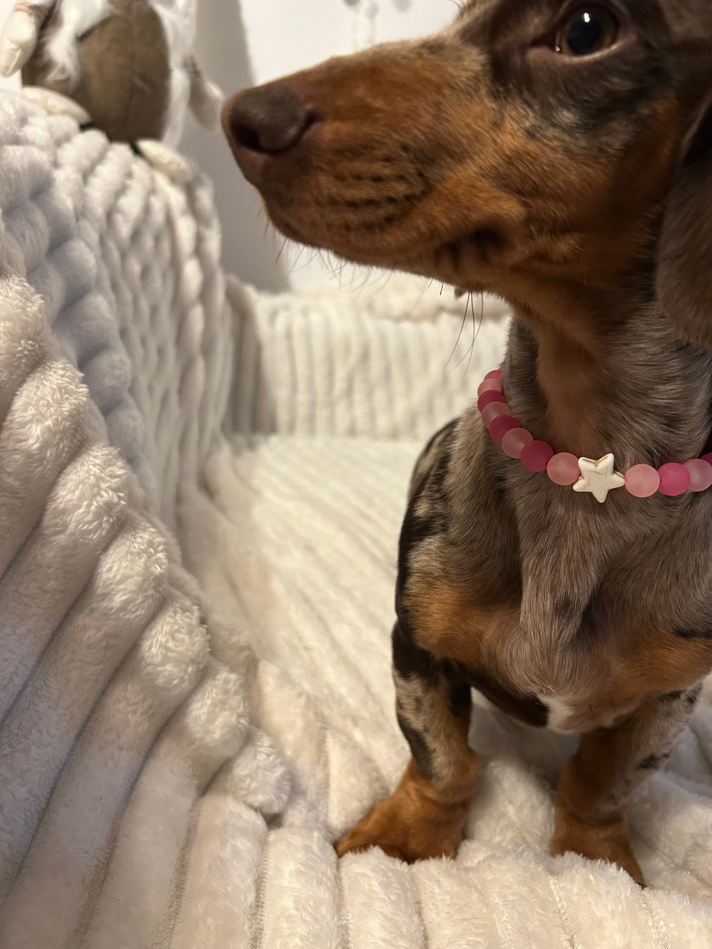 COLLECTION HIVERNALE- COLLIER ROSE NEIGE