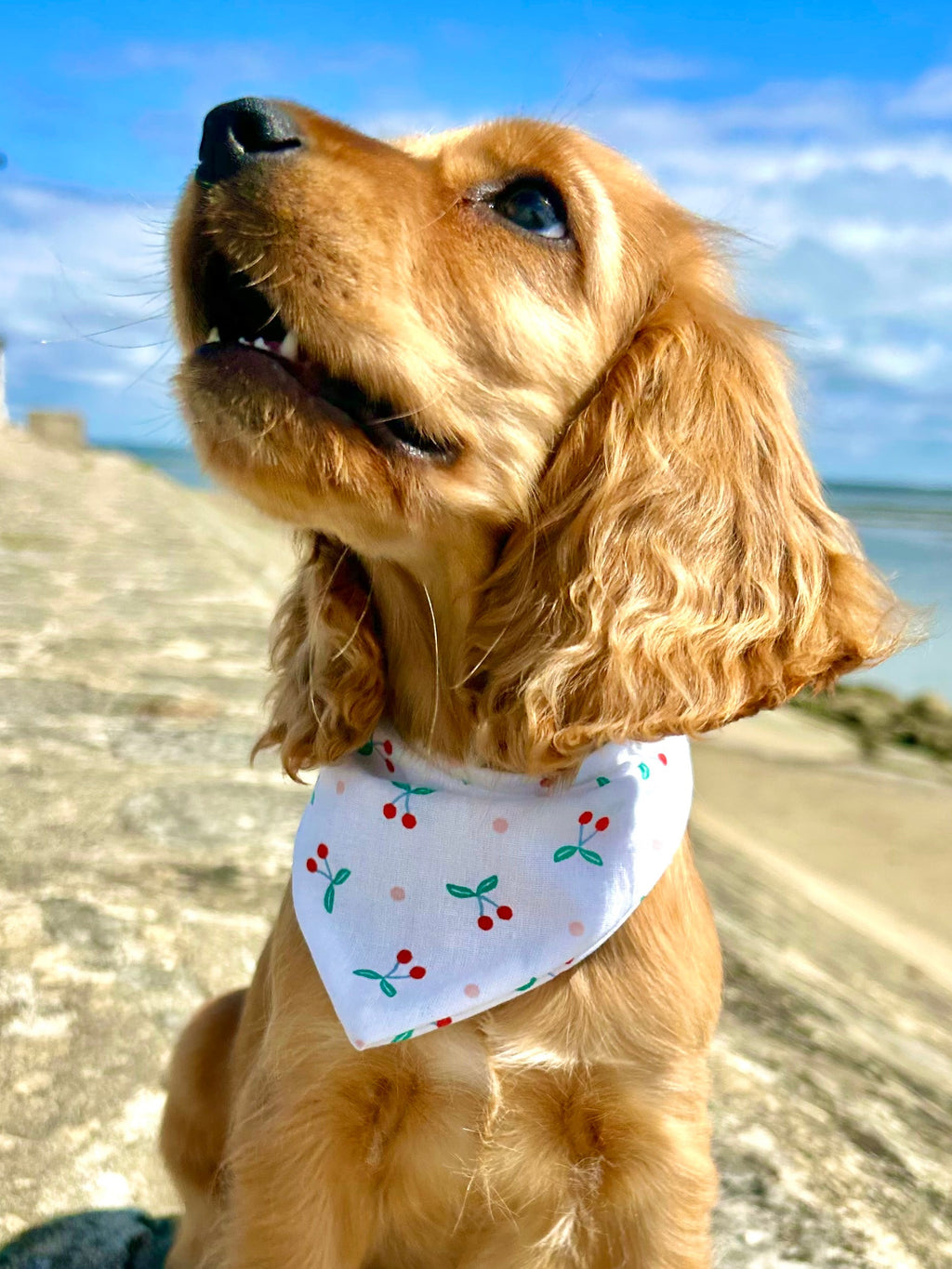 Bandana Cherry Beach 🍒