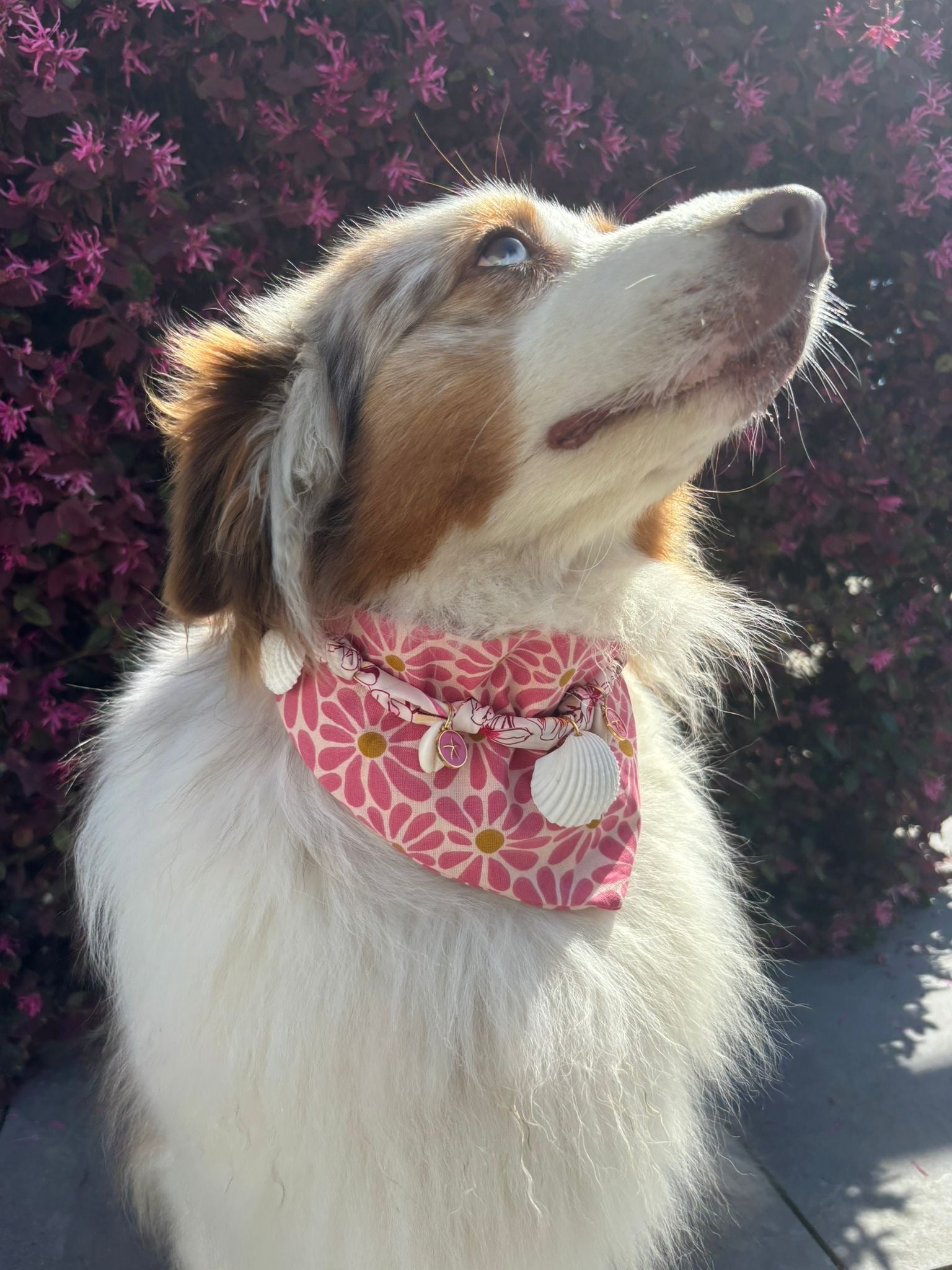 Scarlett - Collier foulard