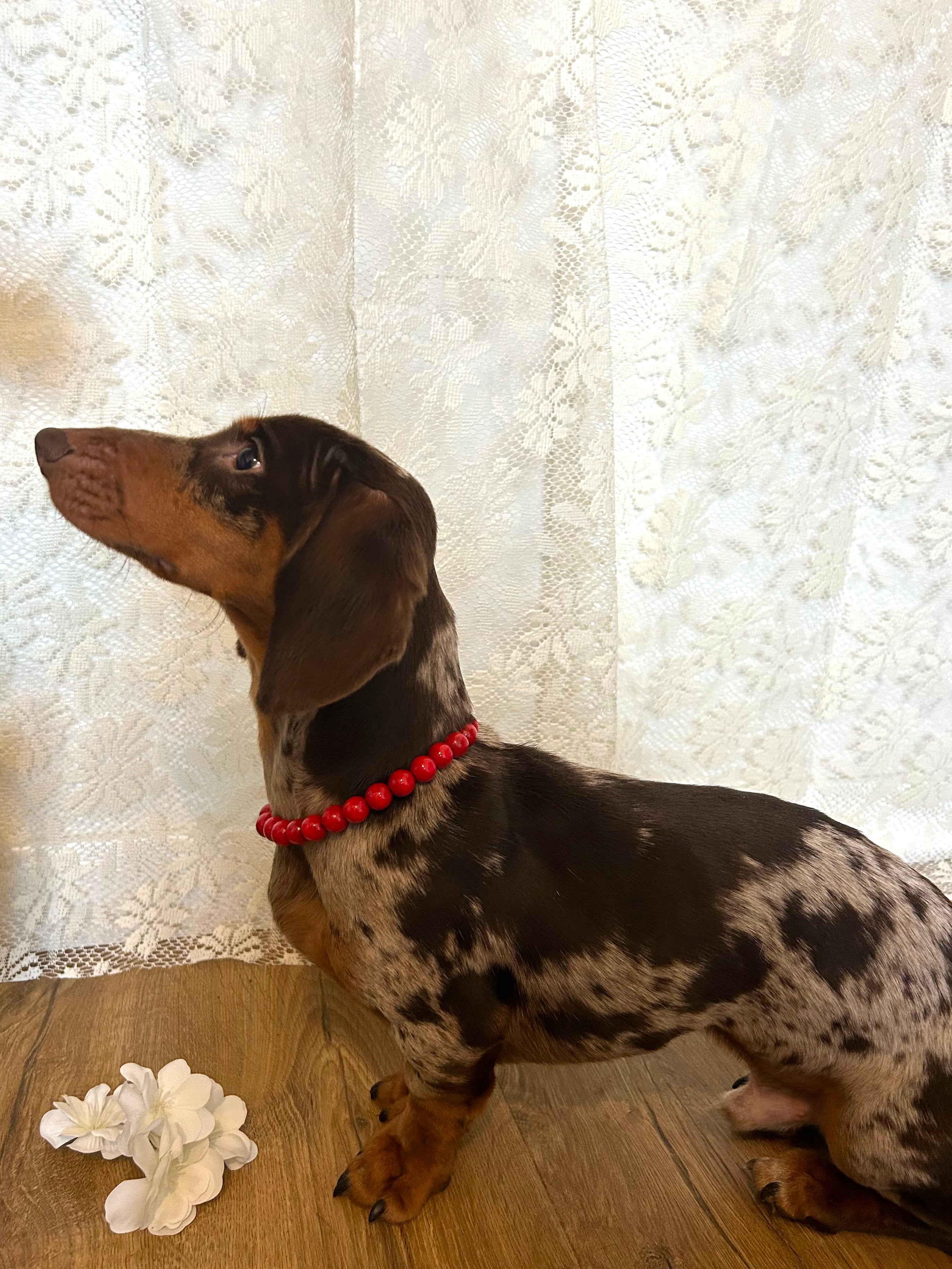 Love Pop - Collier en perles