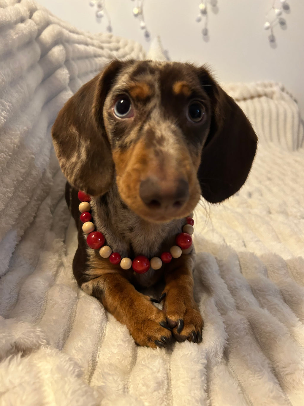 Collier POMME D’ÉPICE