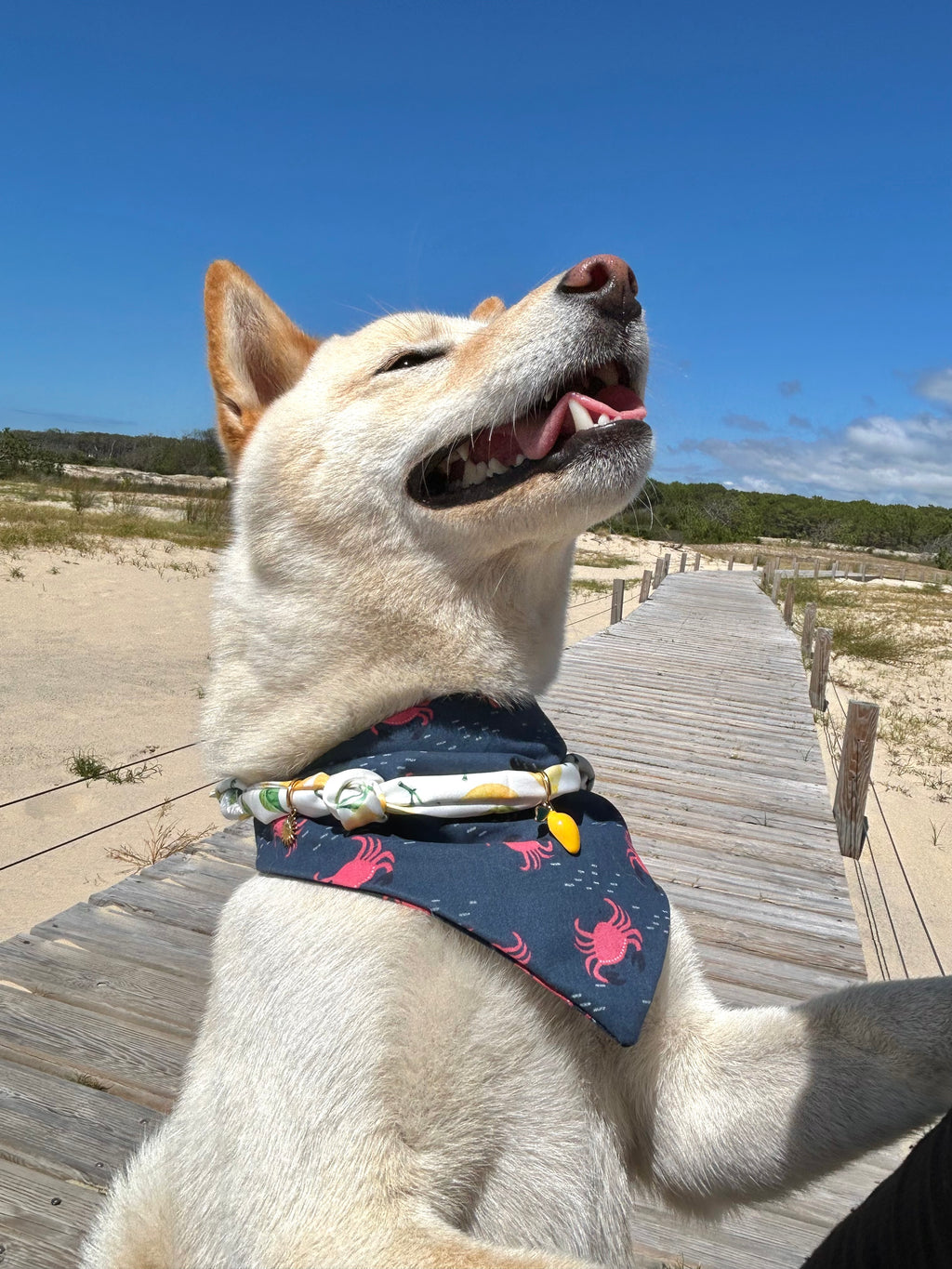 Collier foulard Sole Mio 🍋