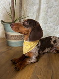 Suny - Bandana fait main & sur mesure