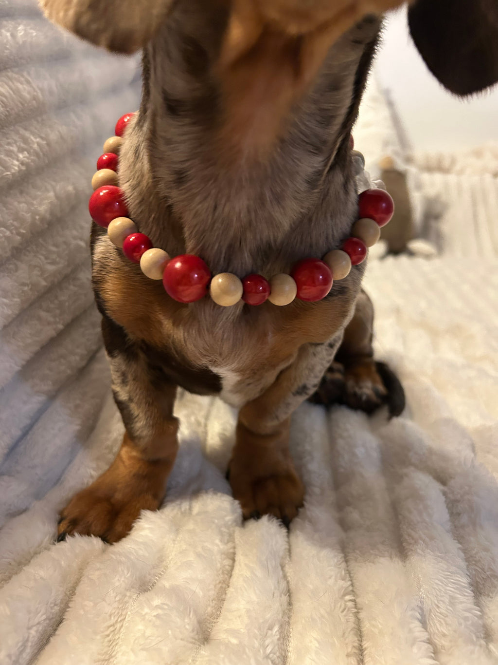 Collier POMME D’ÉPICE