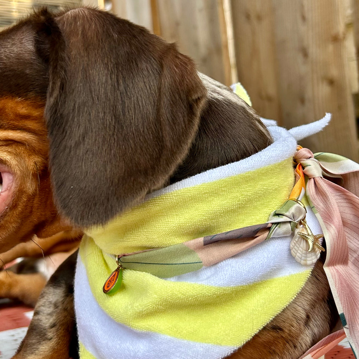 Foulard Koda 🥭