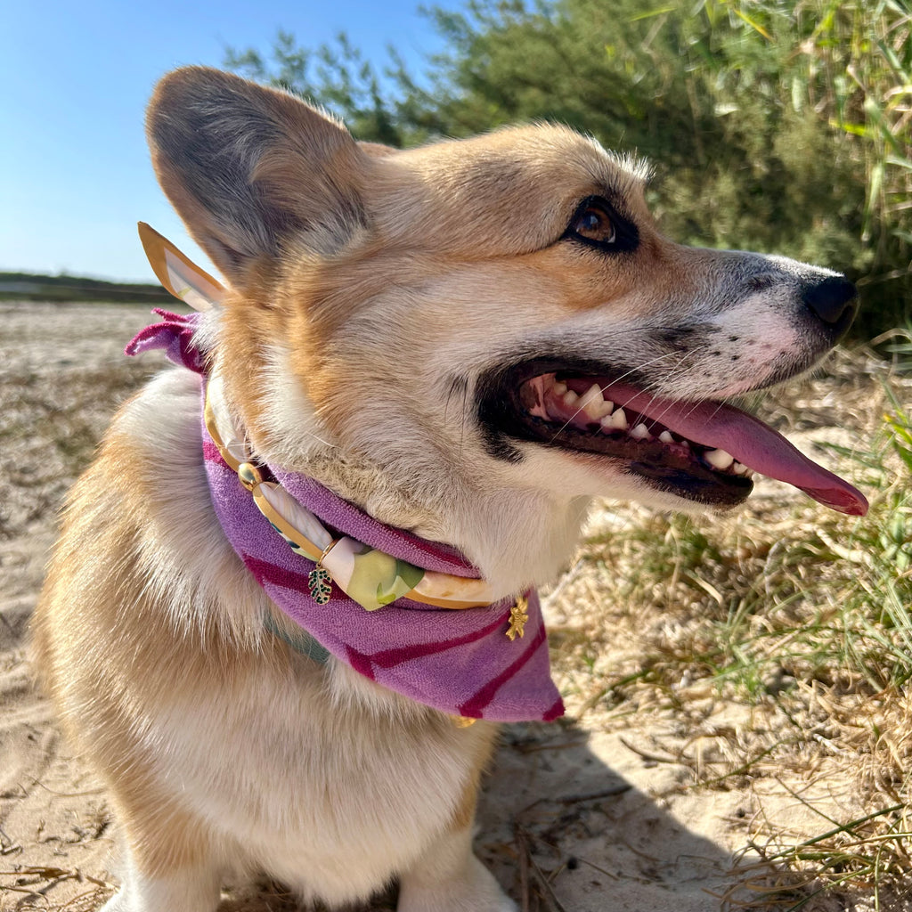 Foulard Simba 🌼
