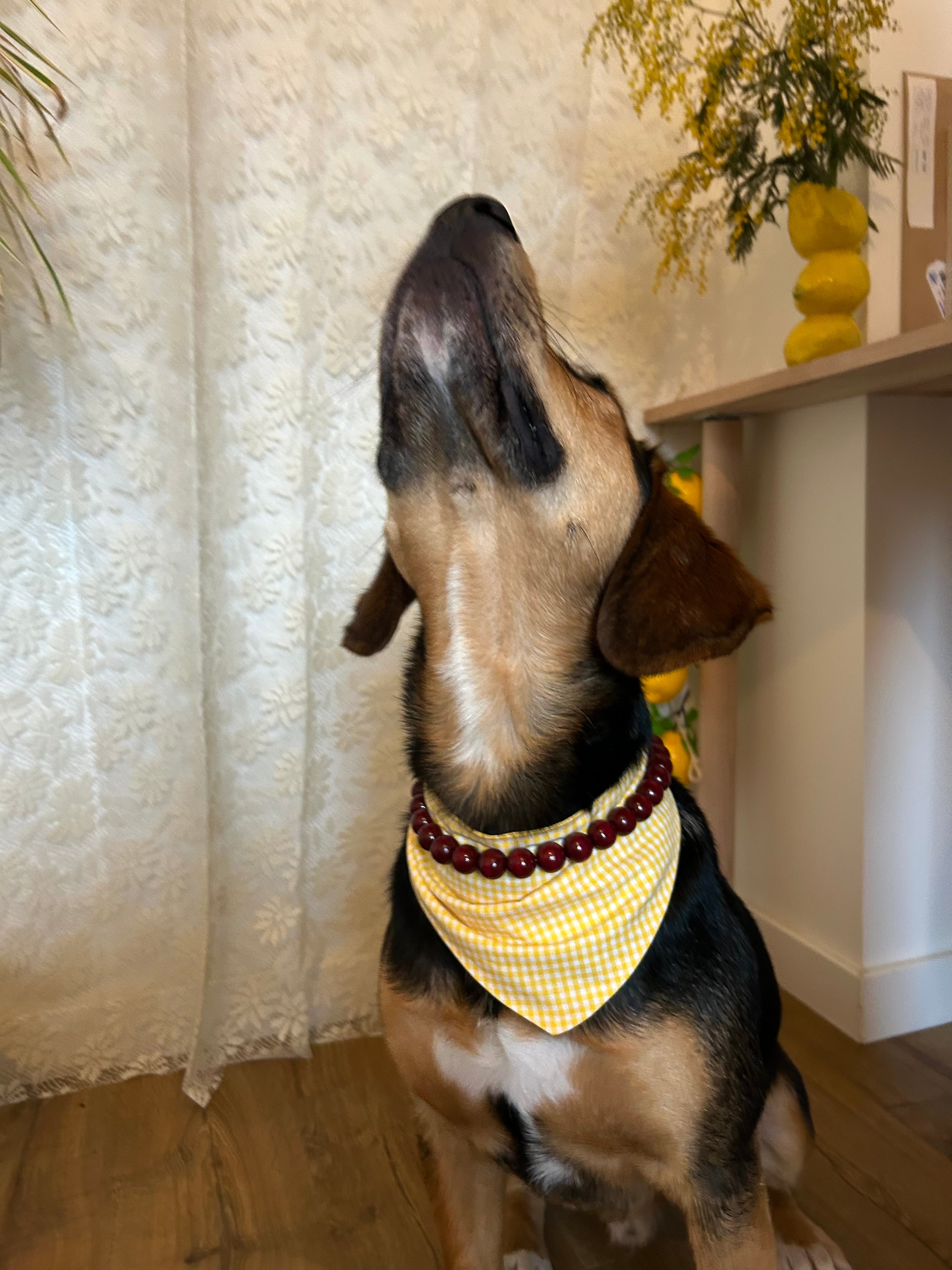 Duo Golden Spice  - Bandana Vichy & Collier Rouge Boisé