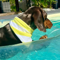 Bandana éponge Sparky 🍋