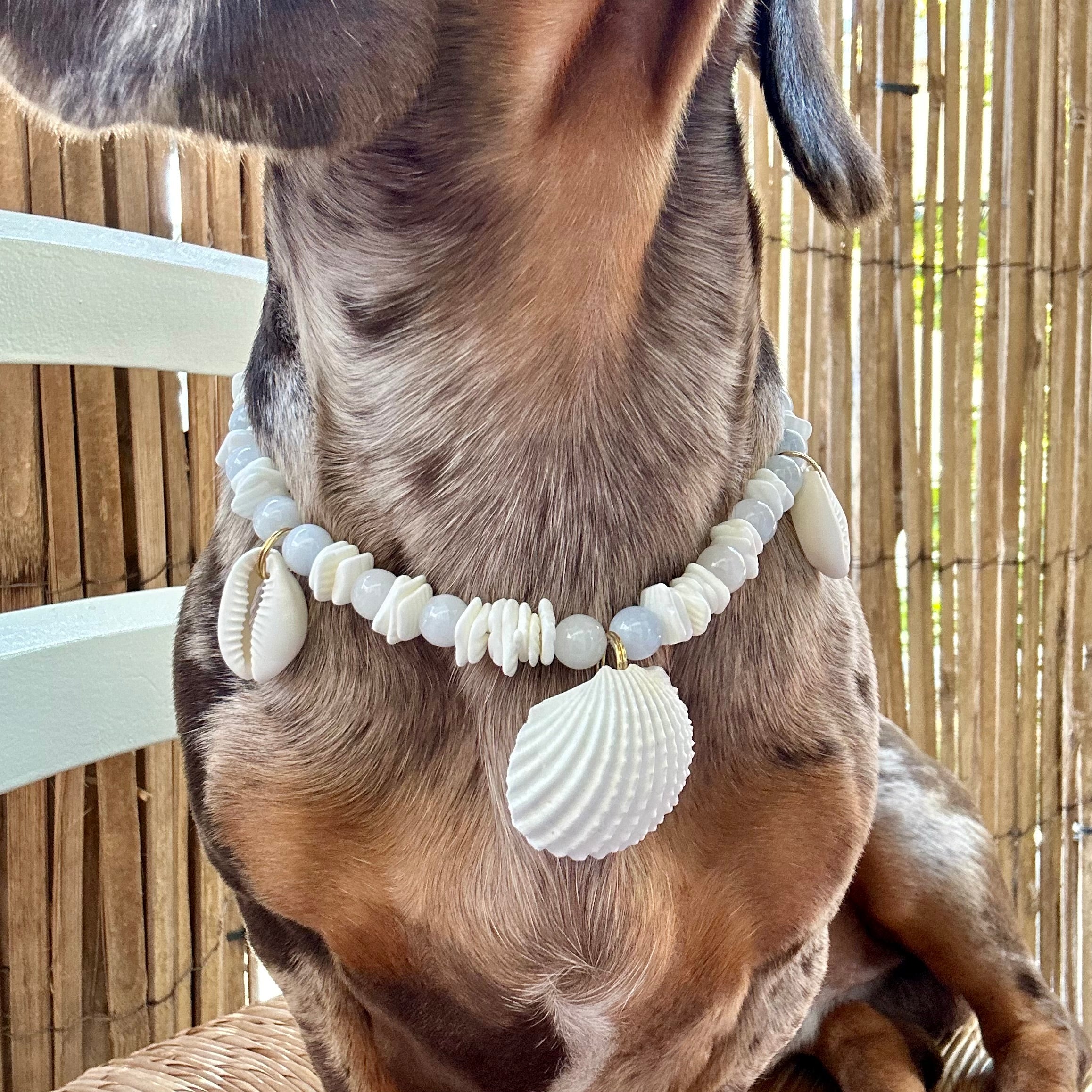 Collier Arya 🐚