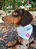 Bandana Beach Party 🩴