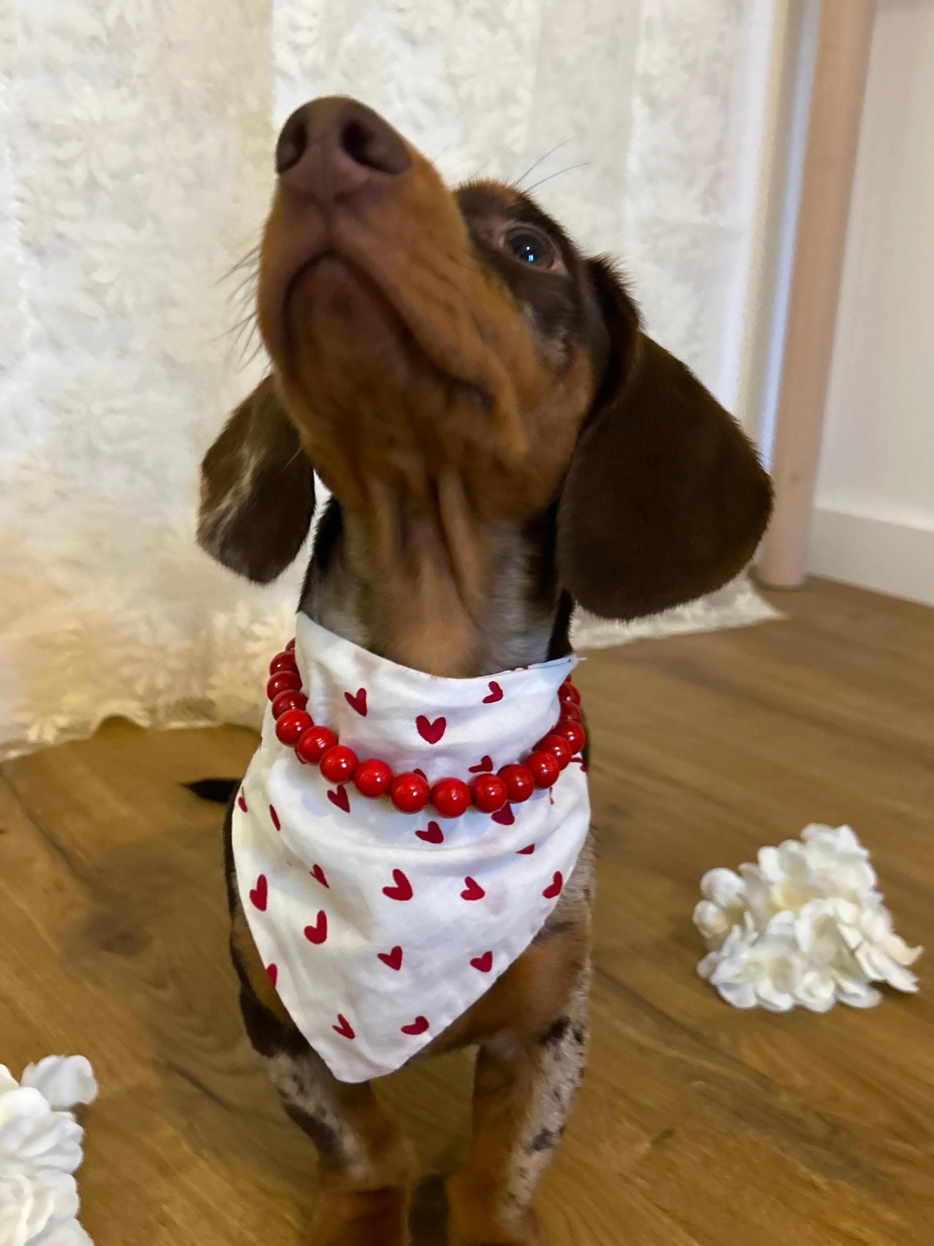 Duo Cherry Love - Bandana cœurs & collier rouge