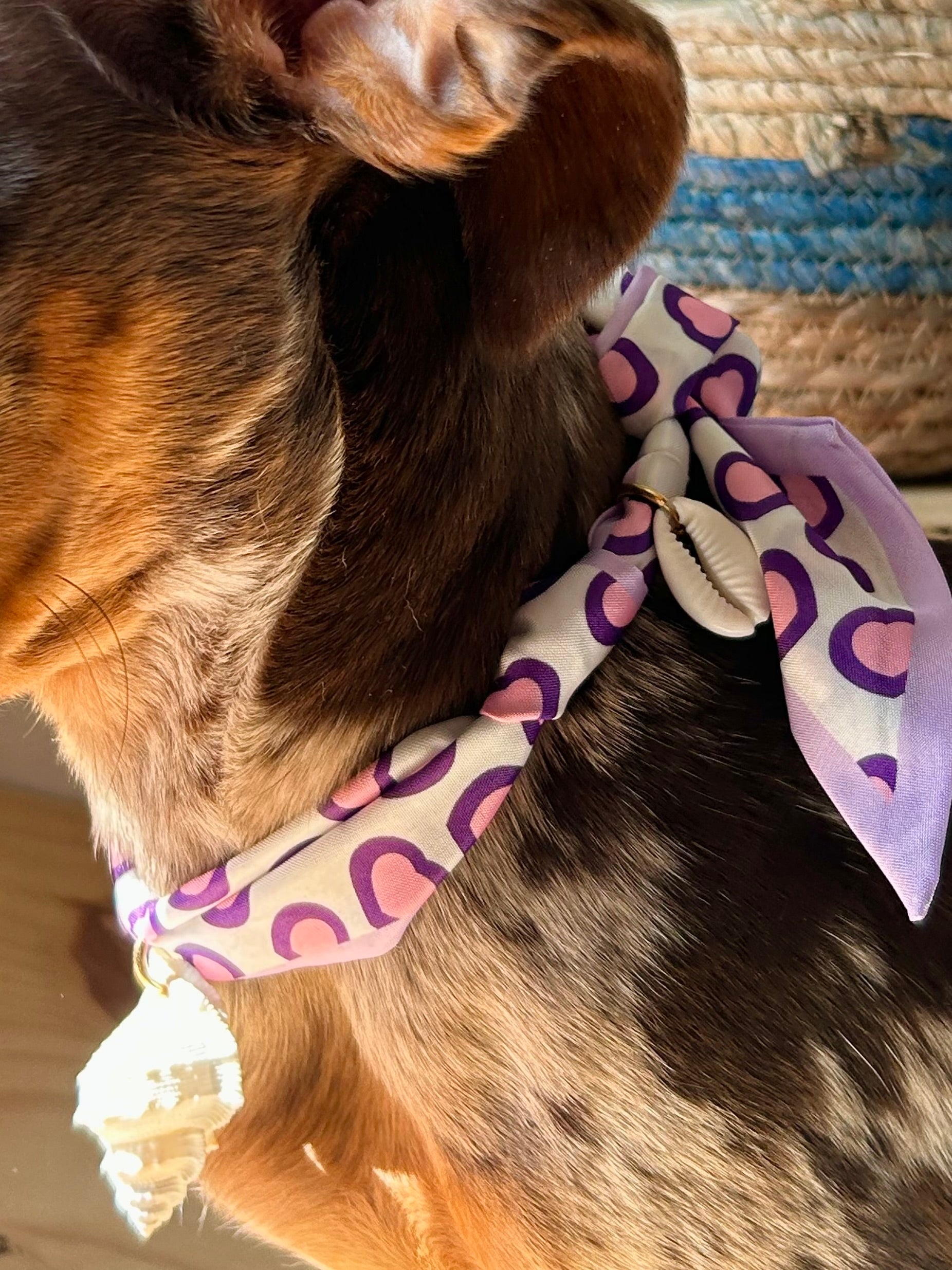 Matcha - Collier foulard