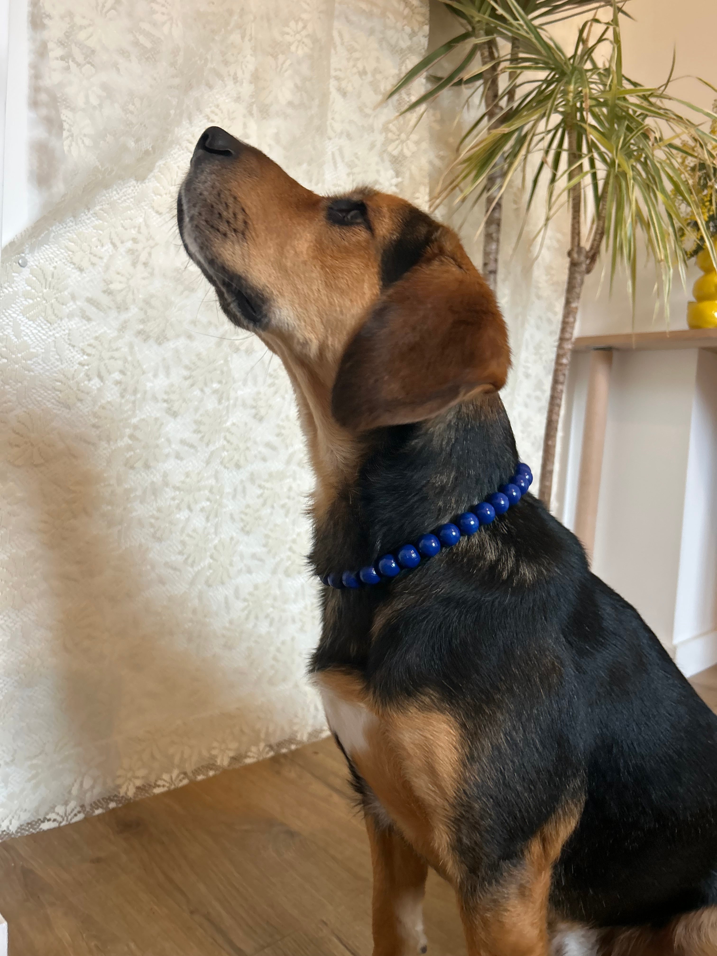 Night Pop - Collier en perles