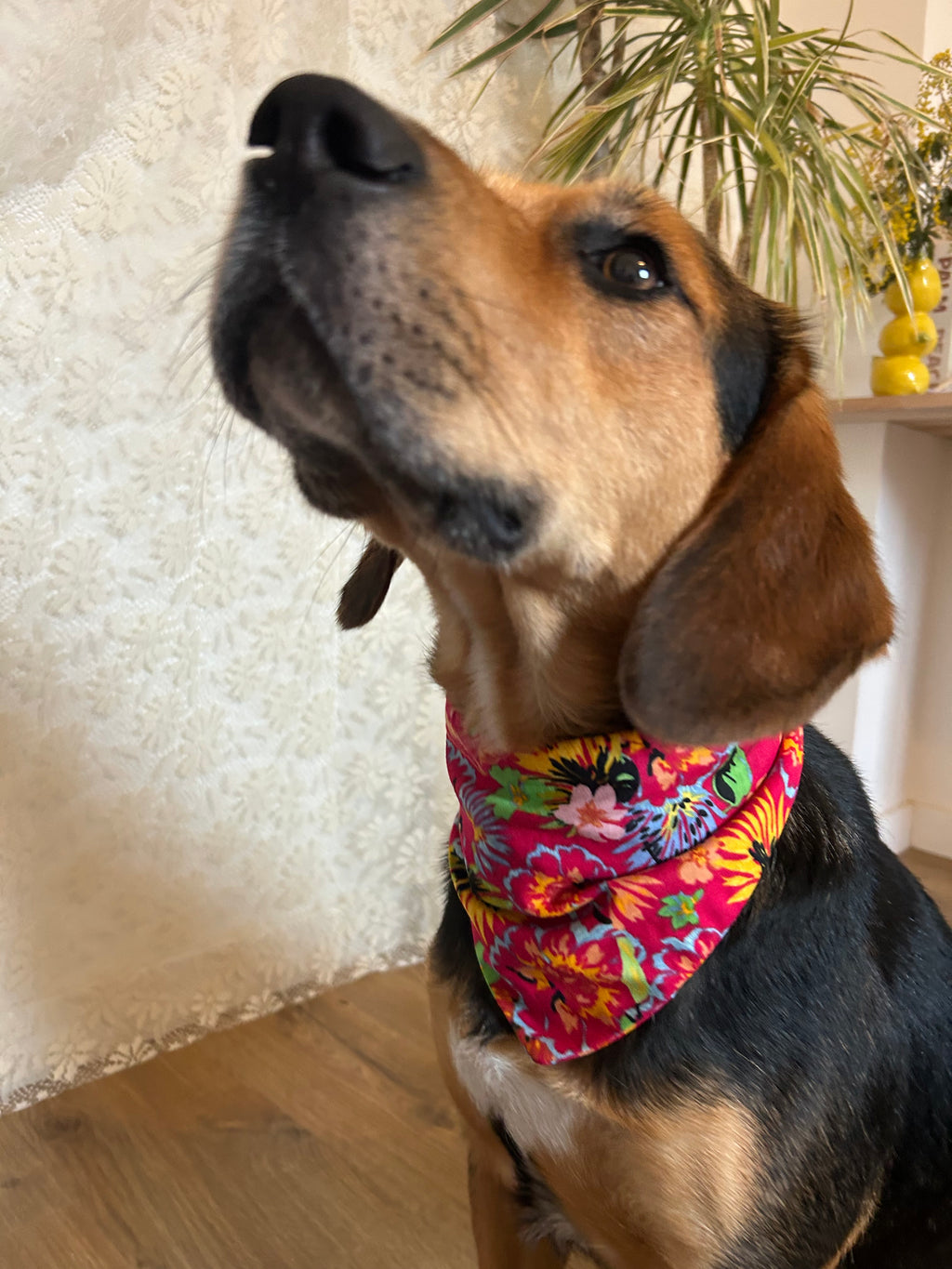 Bloomshine – Bandana fait main & sur mesure