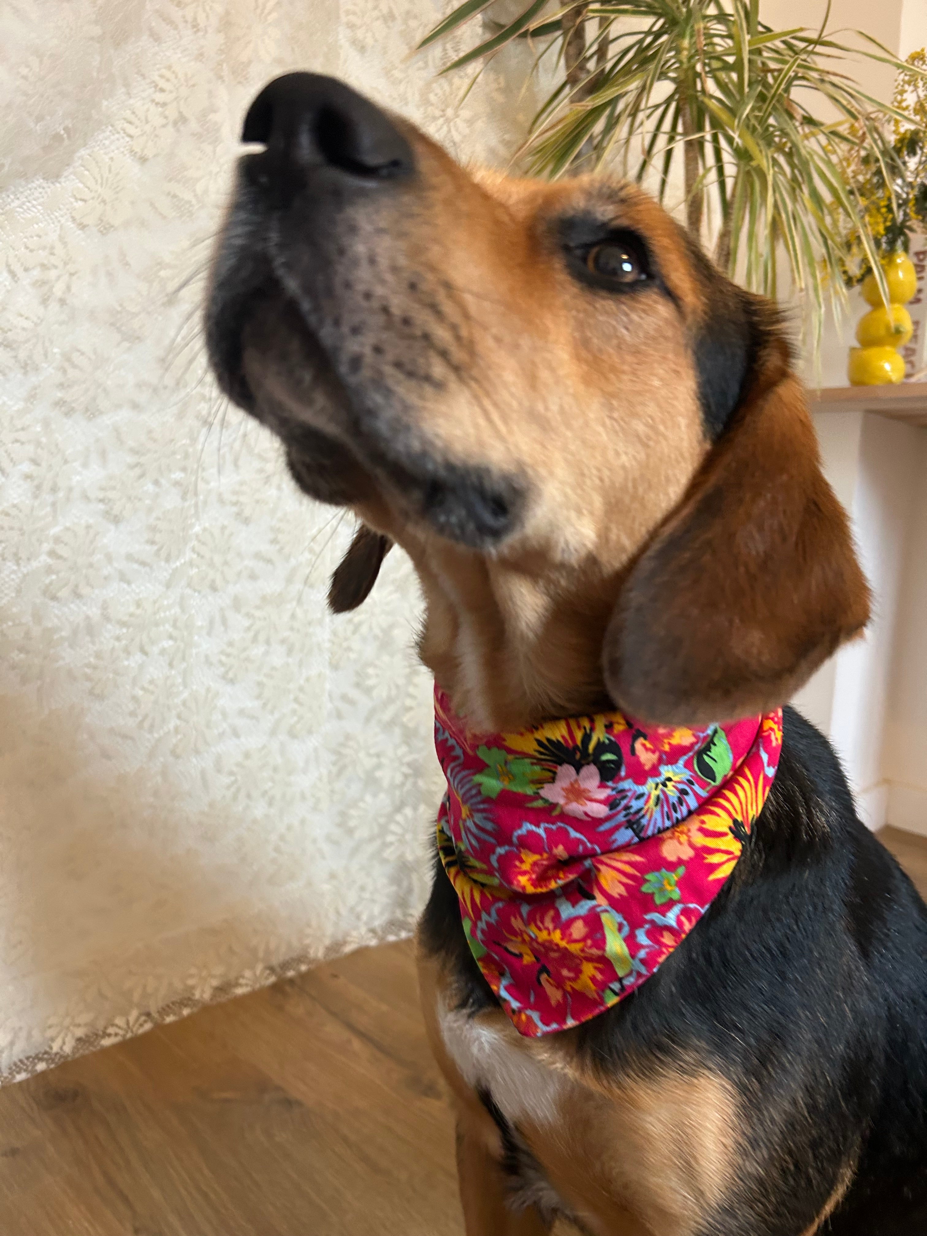 Bloomshine – Bandana fait main & sur mesure