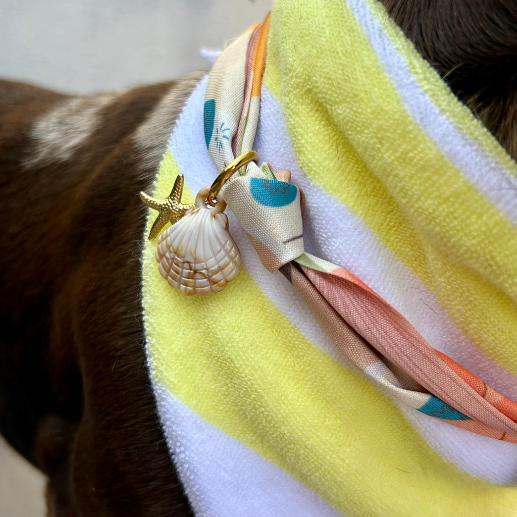 Foulard Koda 🥭