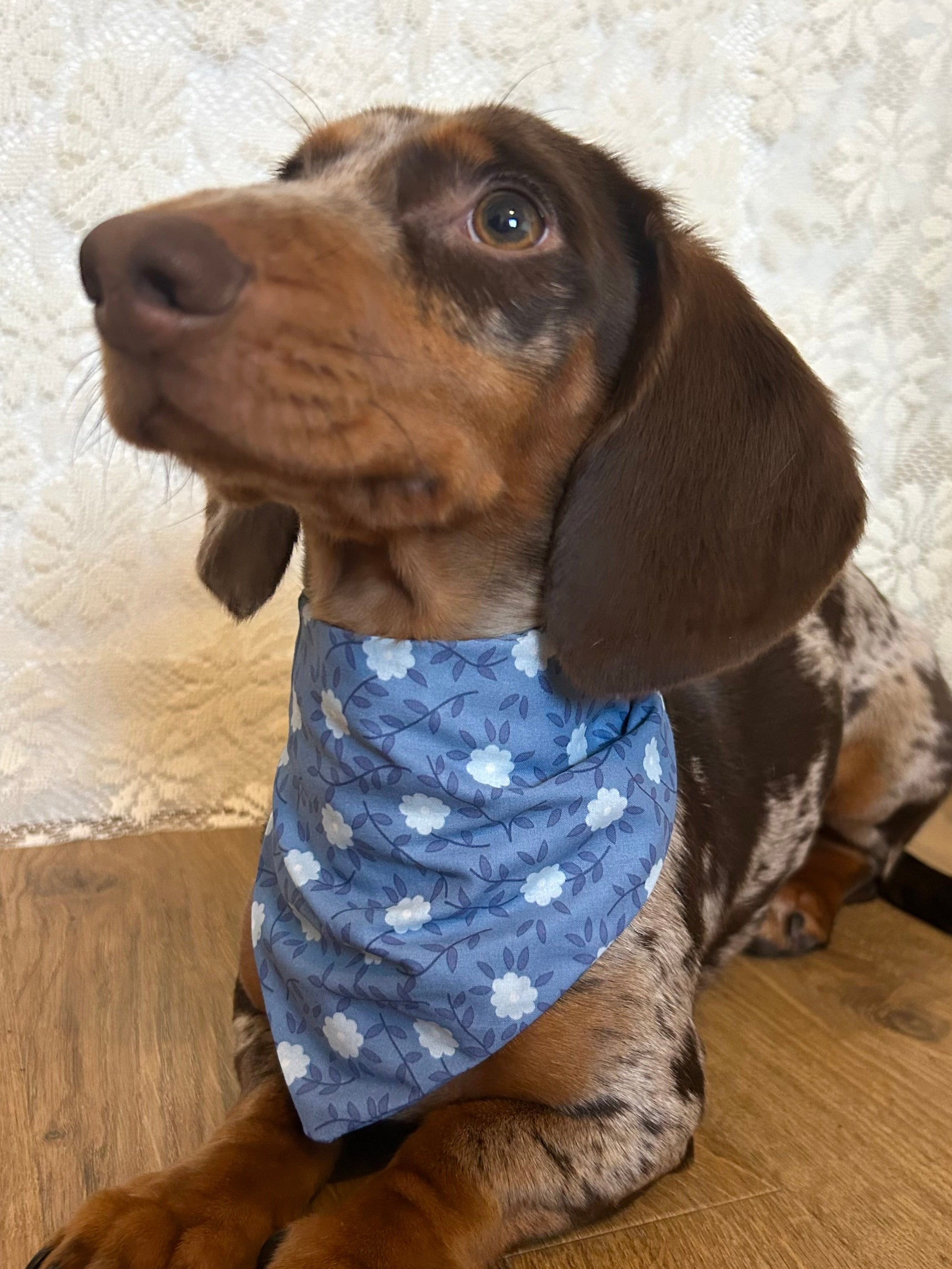 Blue Daisy - Bandana fait main & sur mesure