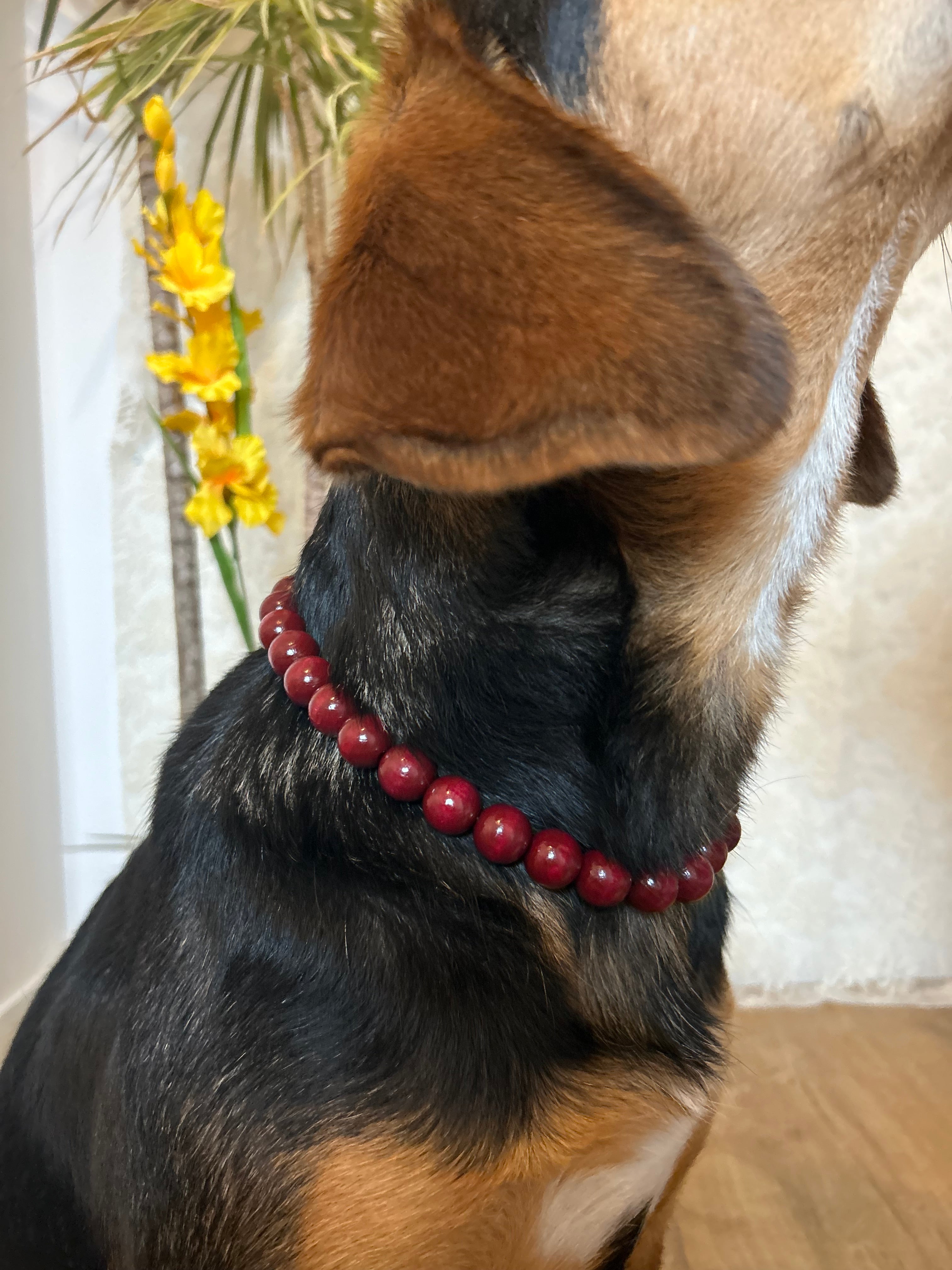 Fire Pop - collier en perles