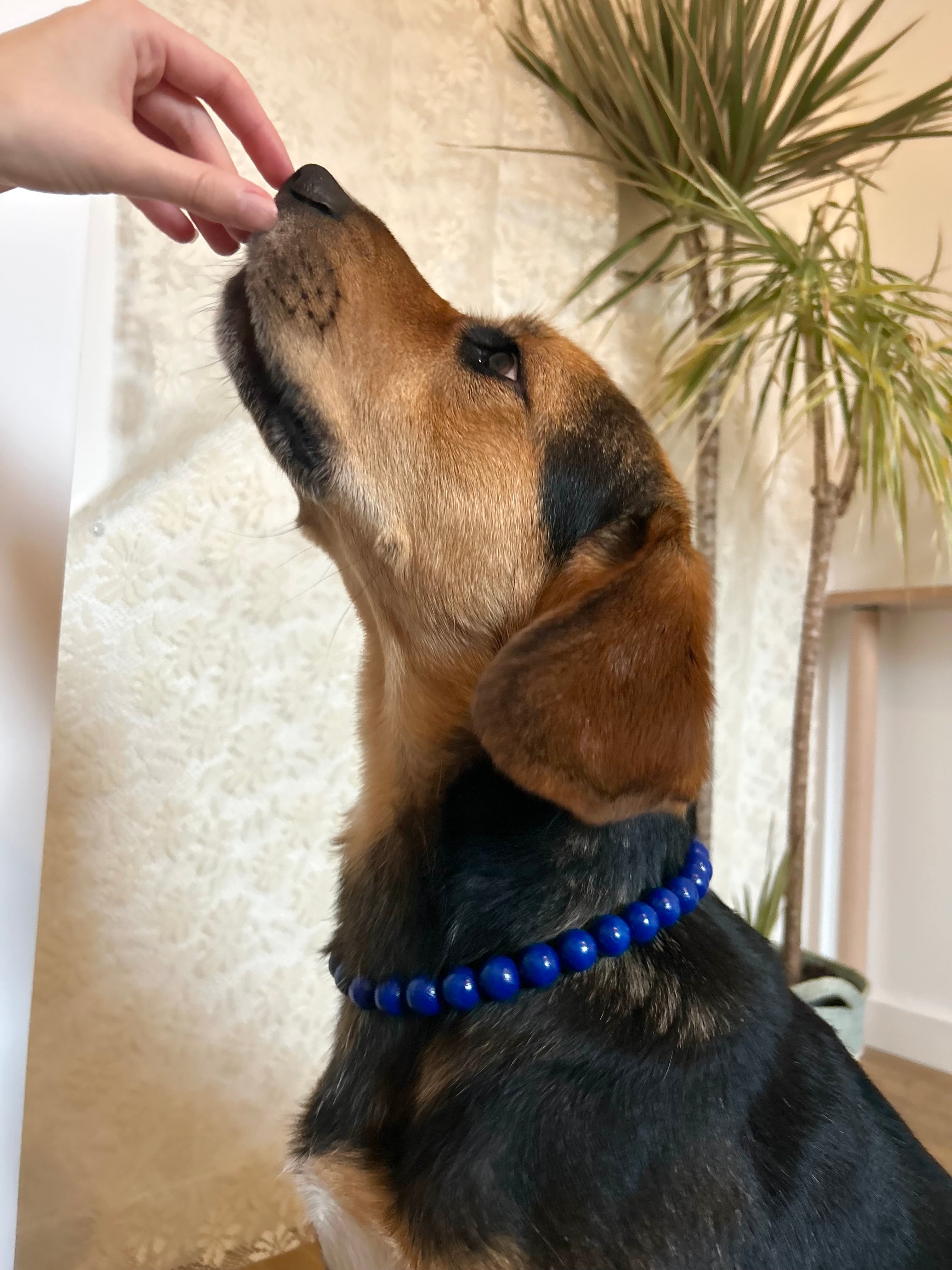 Night Pop - Collier en perles