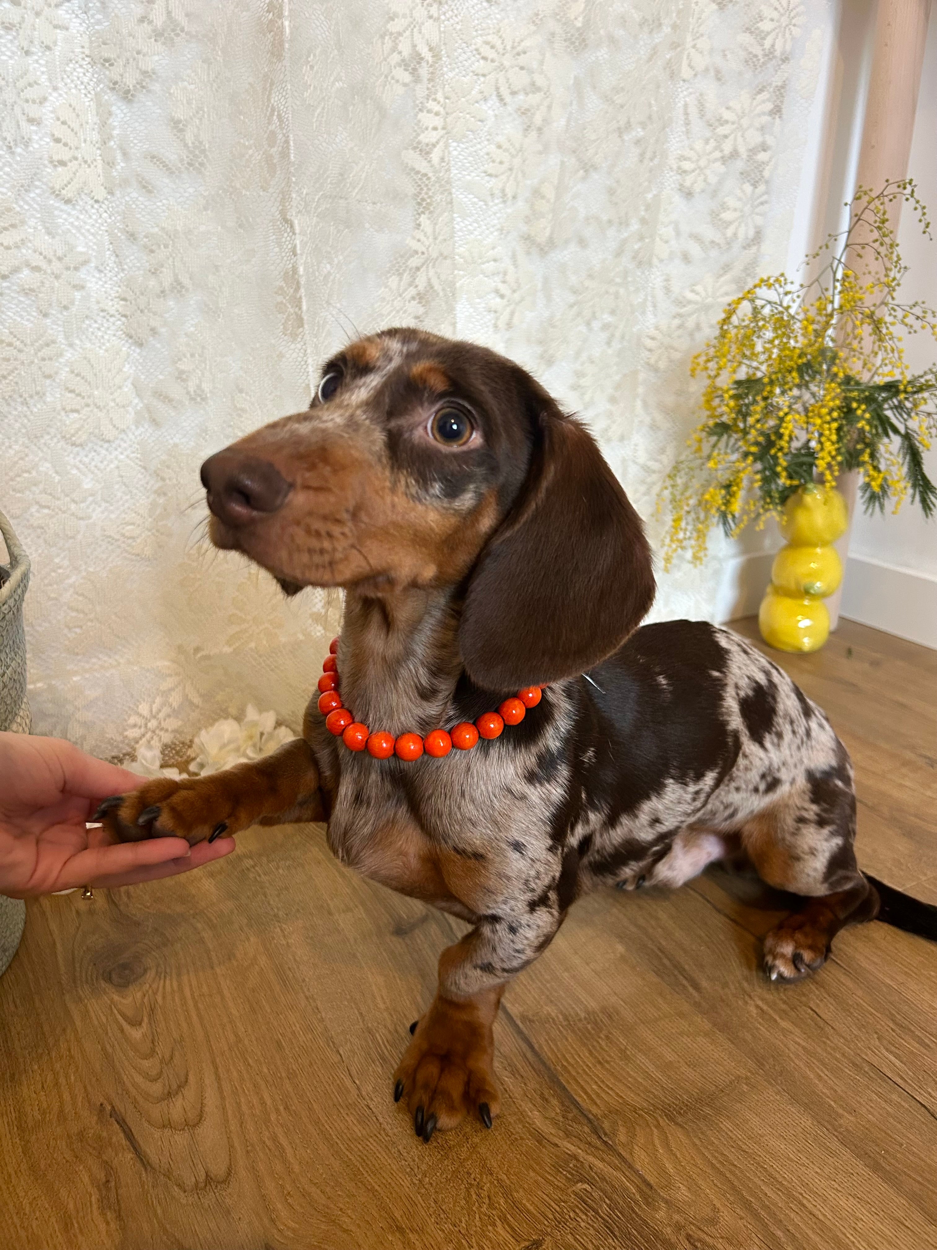 Tropic Pop  – Collier en perles