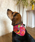 Bloomshine – Bandana fait main & sur mesure