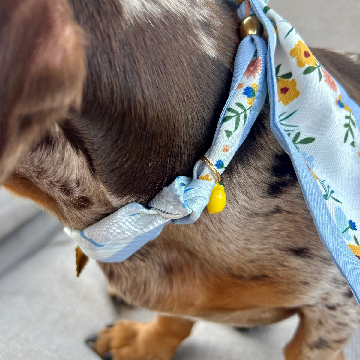 Foulard Dolce 🌊
