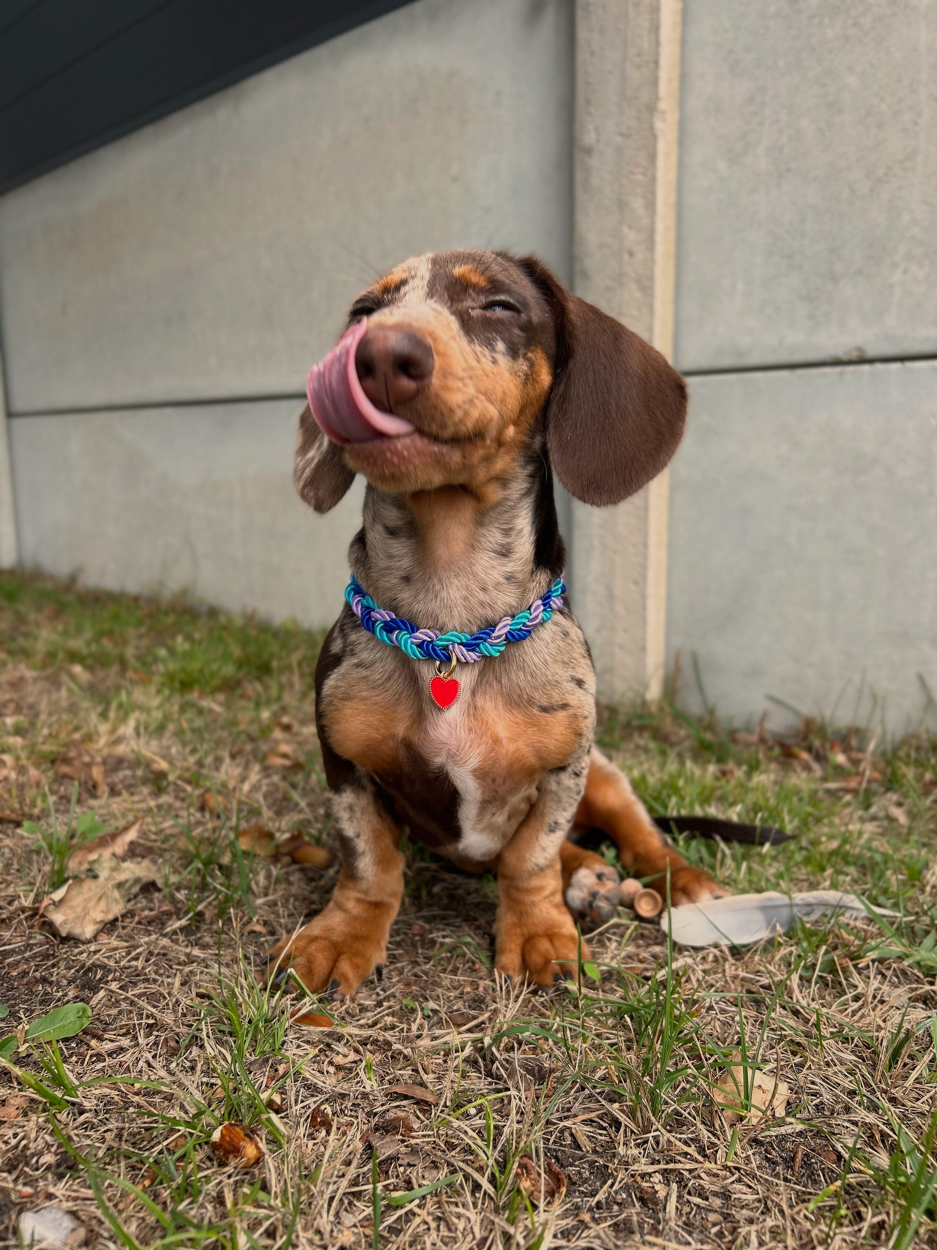 Nos Colliers en Cordages