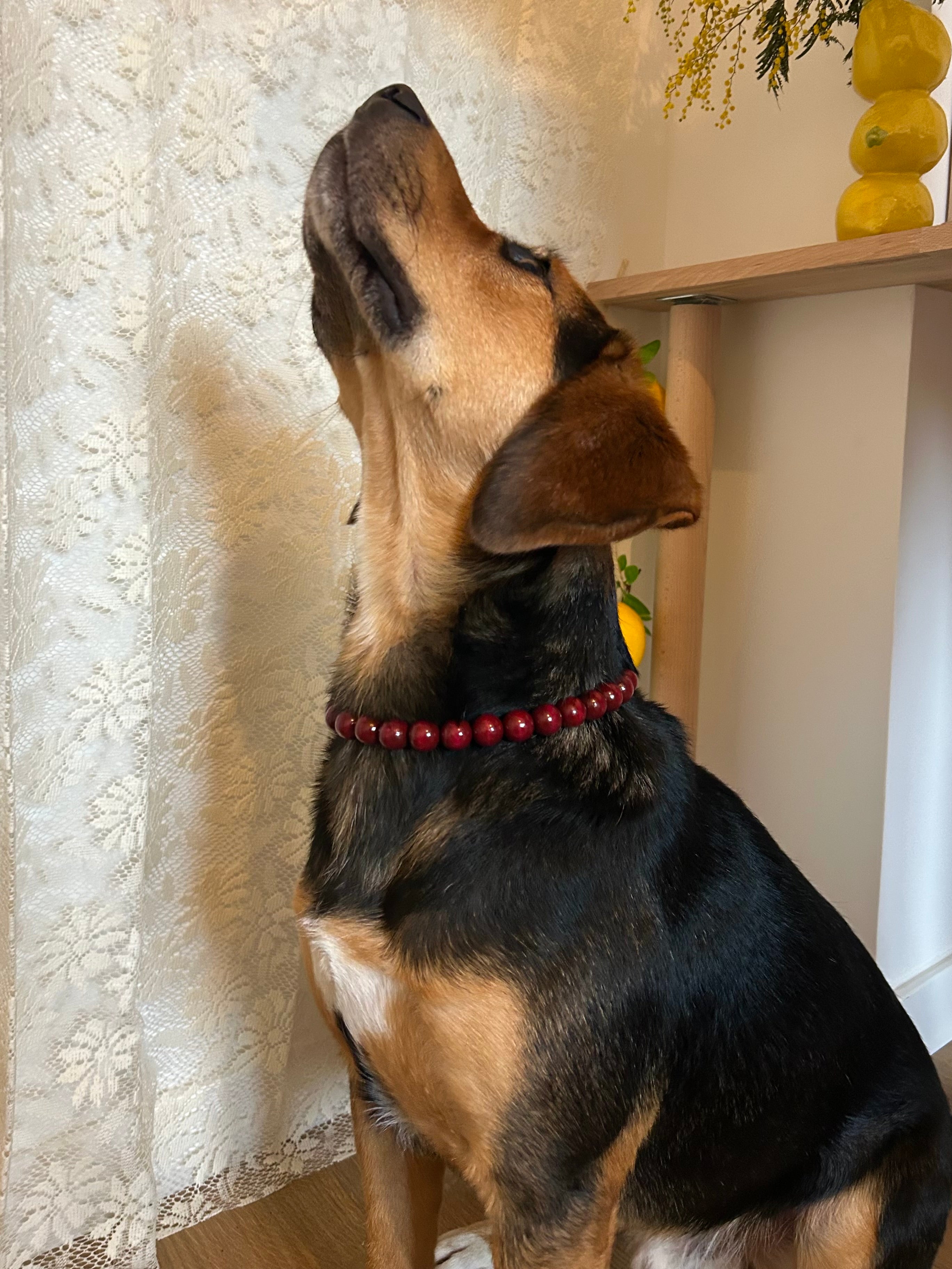 Fire Pop - collier en perles