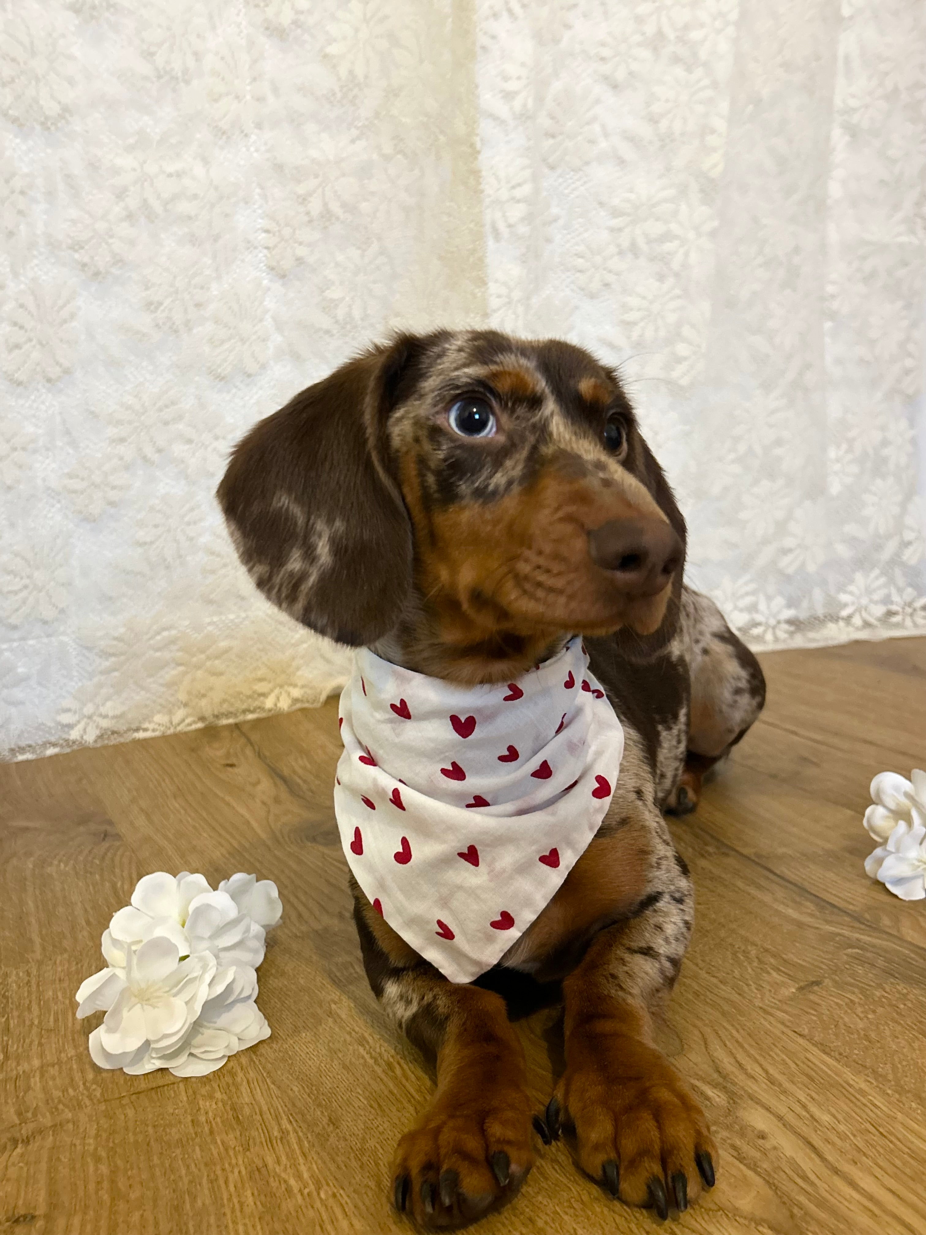 Cœur à cœur - Bandana fait main & sur mesure