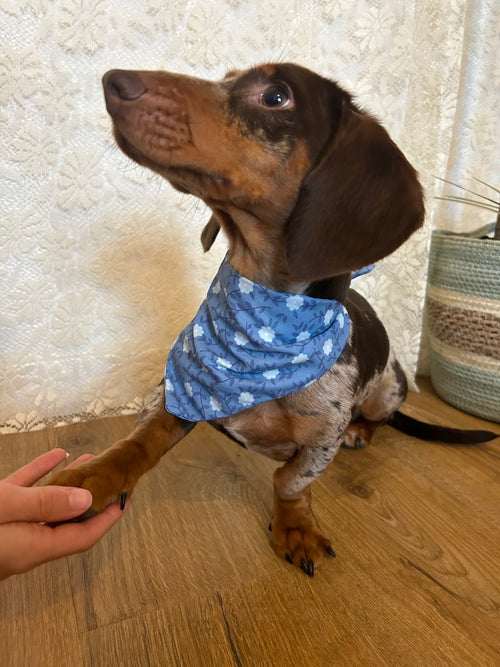 Blue Daisy - Bandana fait main & sur mesure