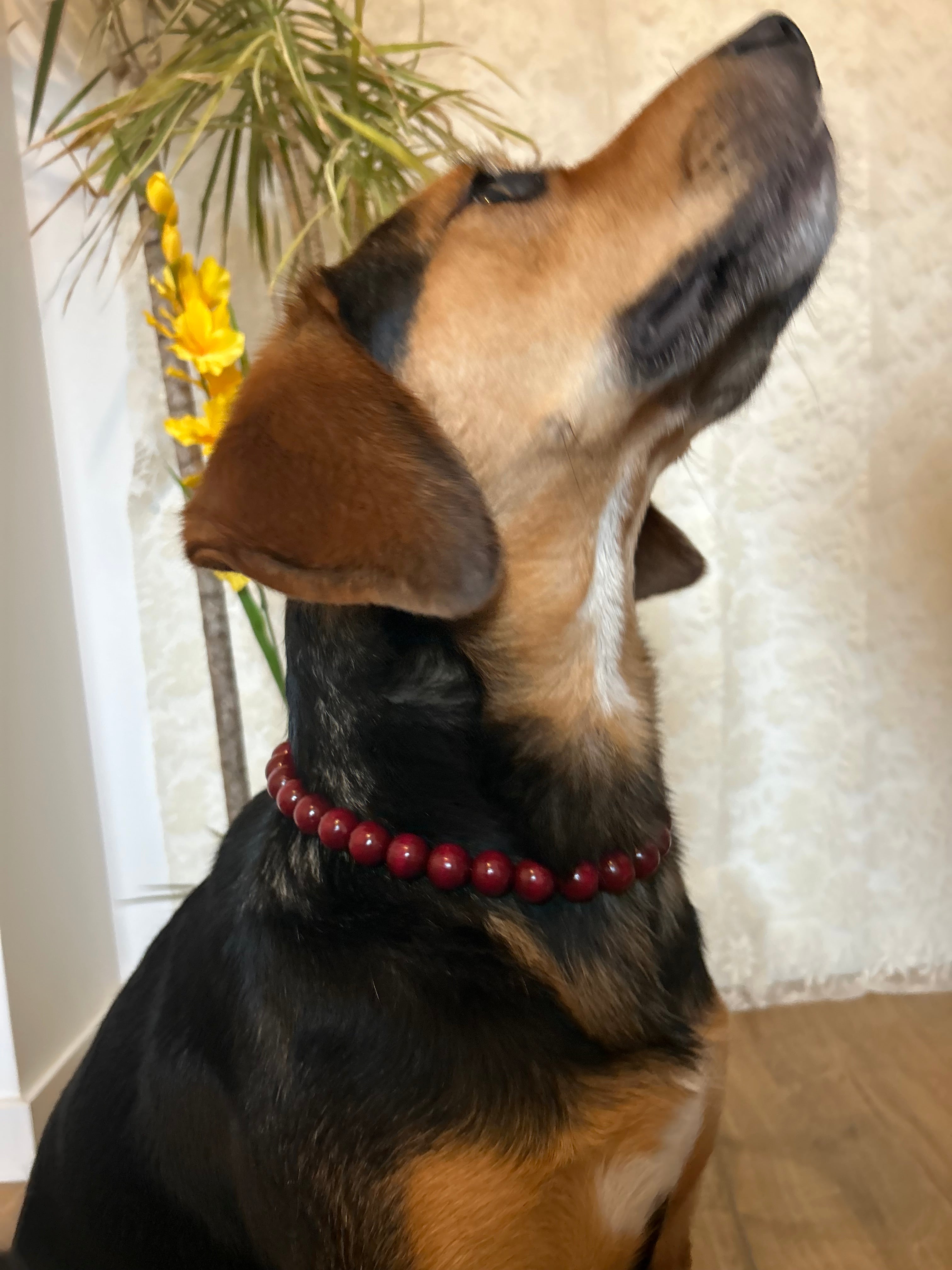 Fire Pop - collier en perles