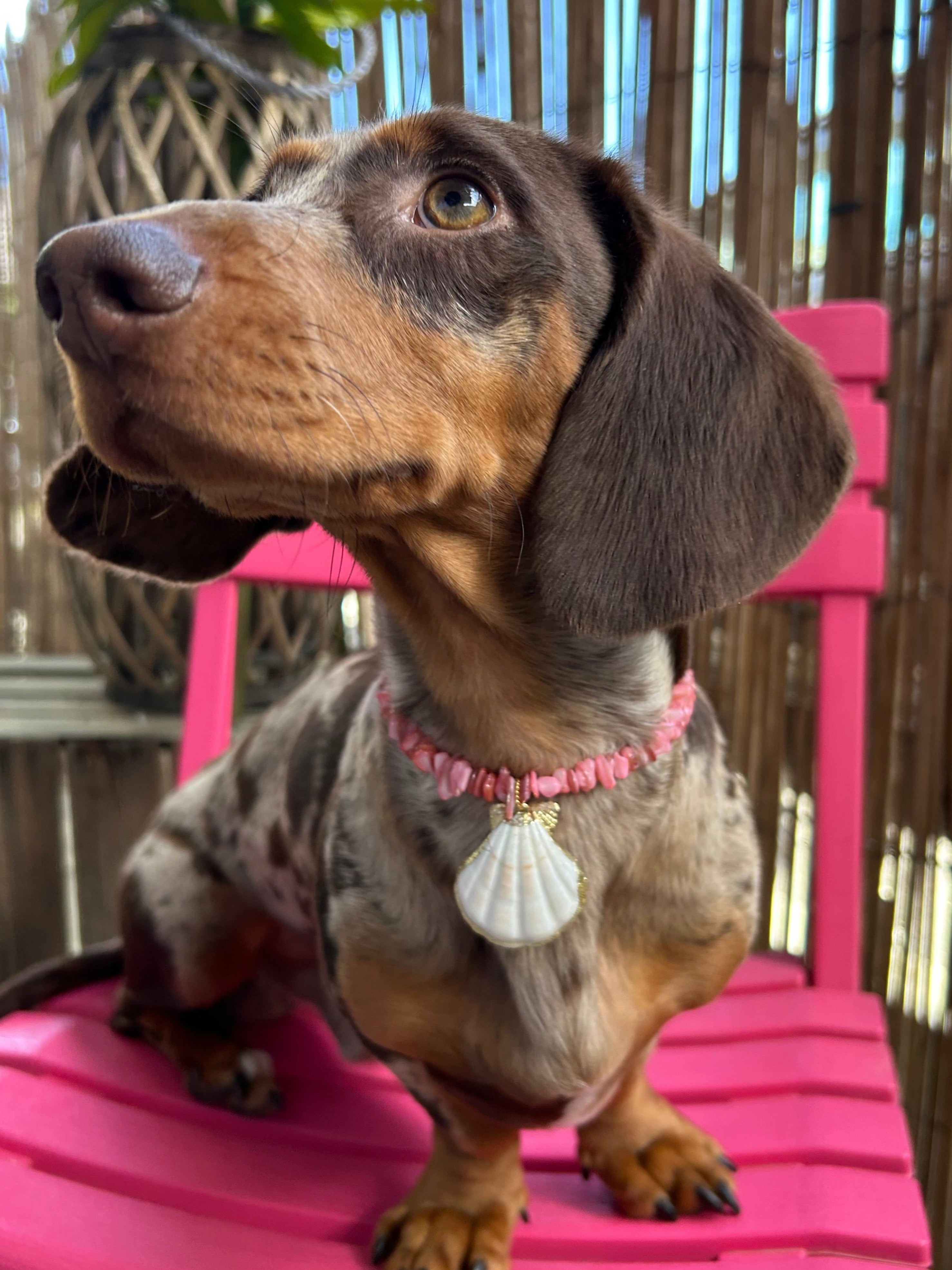 Blush - Collier Perles naturelles sur mesure