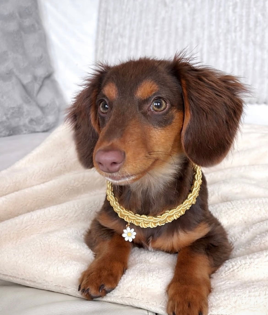 Collier en cordage personnalisable